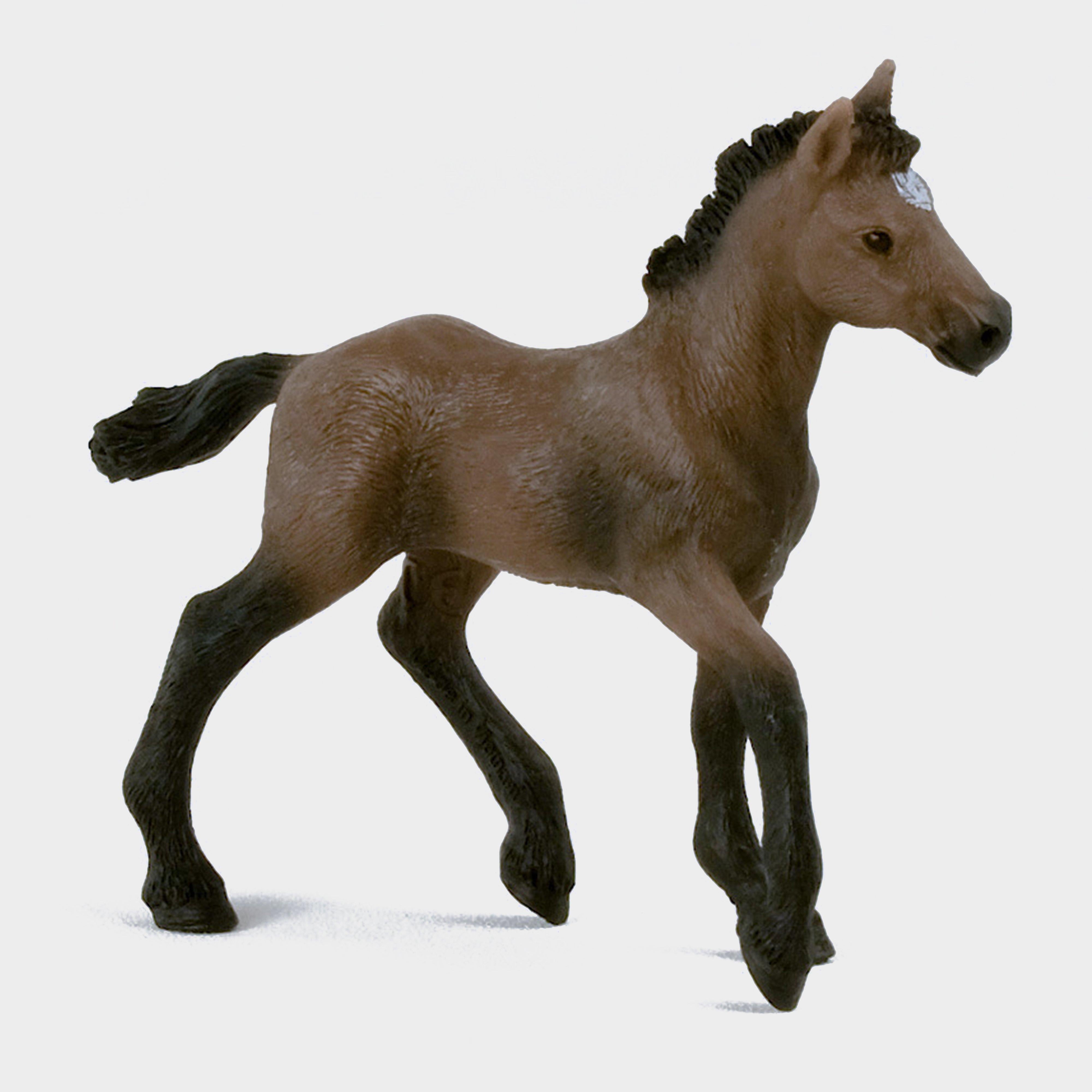 Peruvian Paso Foal