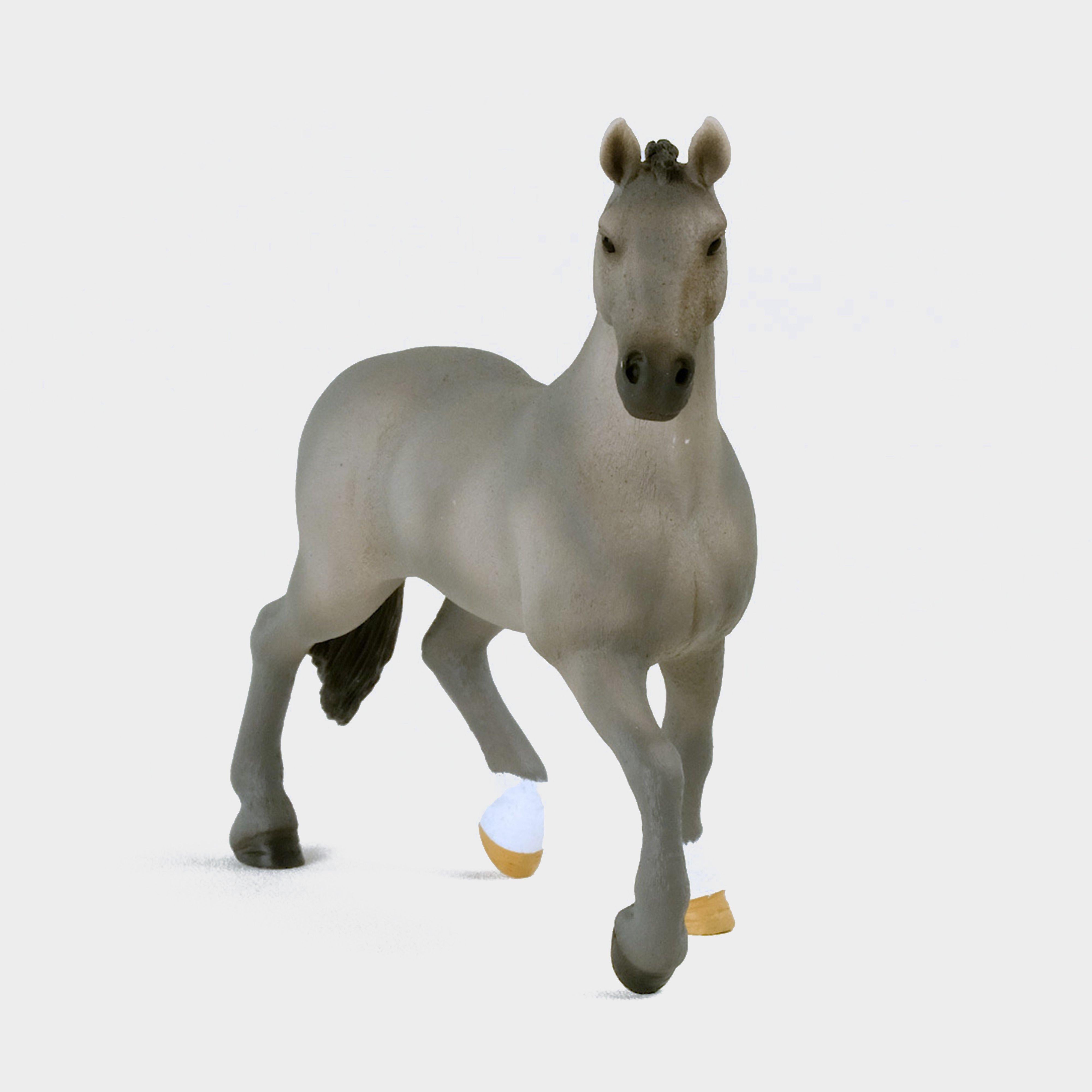 Selle Français Stallion