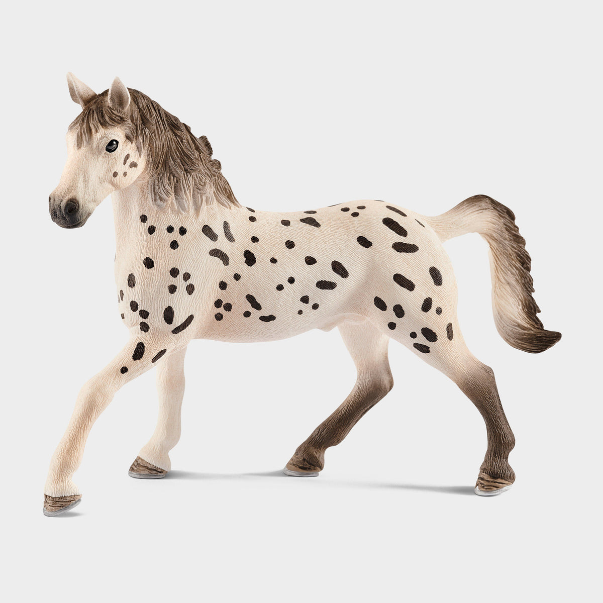 Knapstrupper Stallion