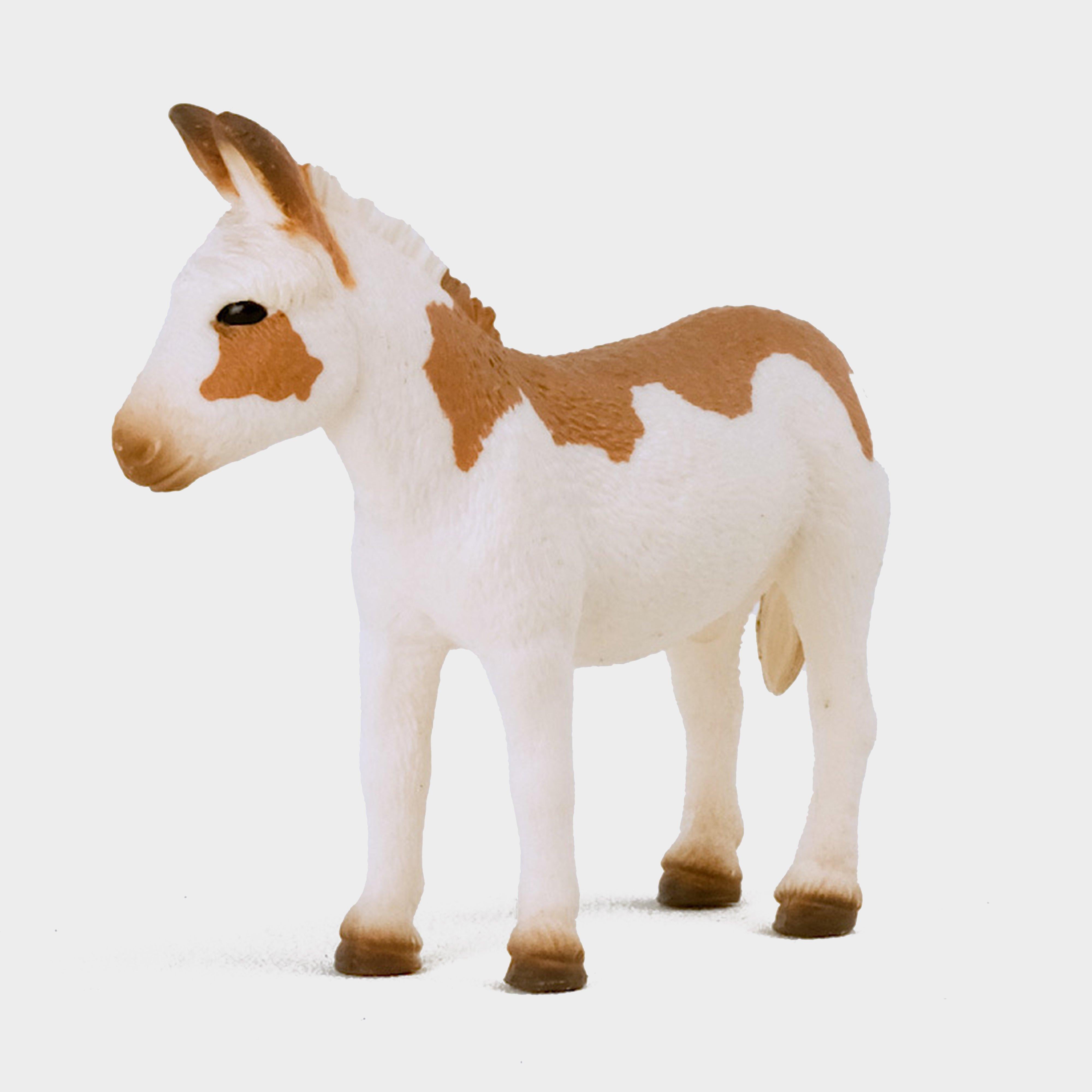 American Spotted Donkey