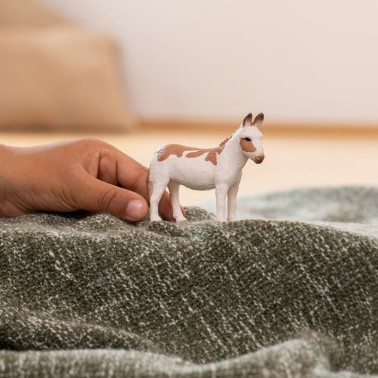 American Spotted Donkey