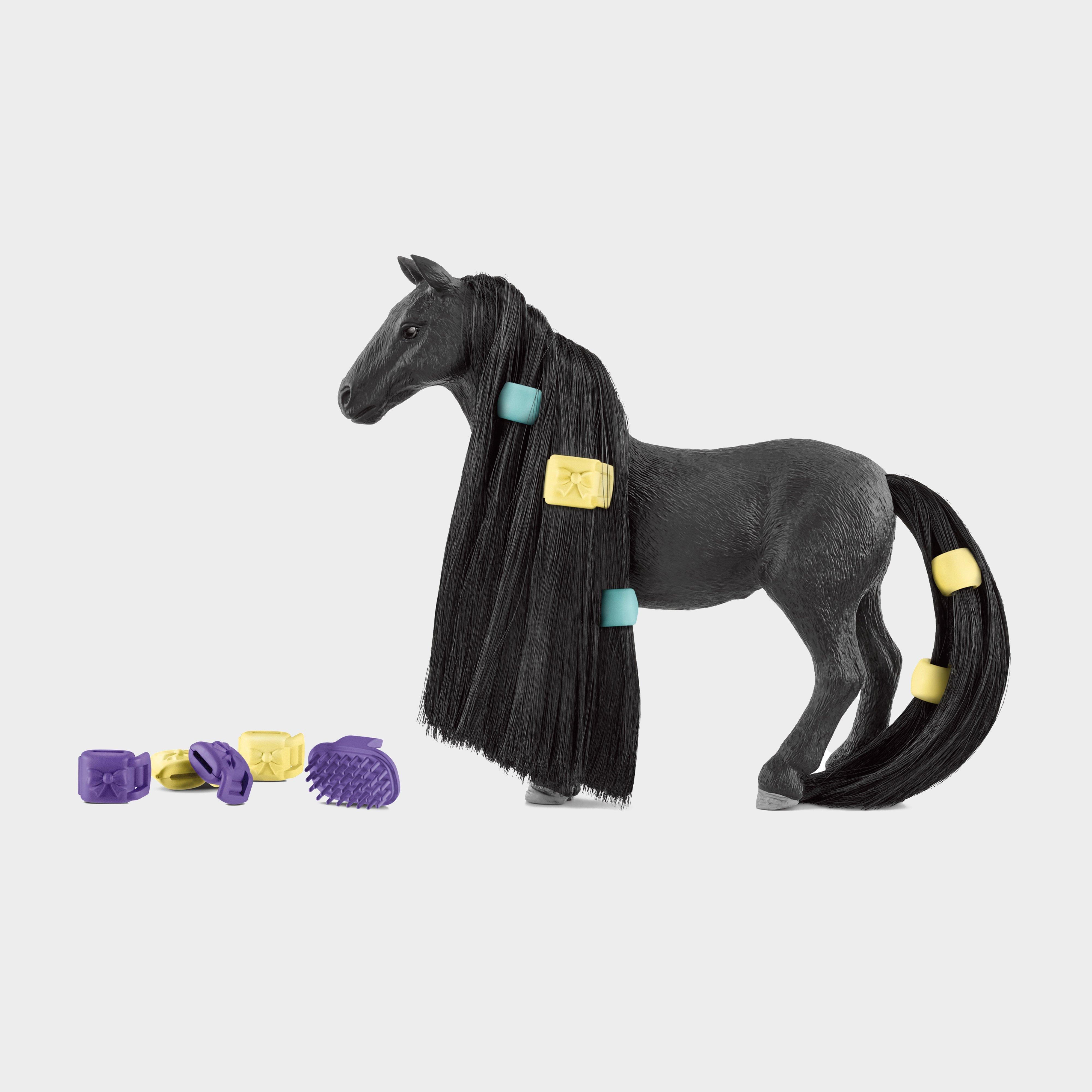 Beauty Horse Criollo Definitivo Mare