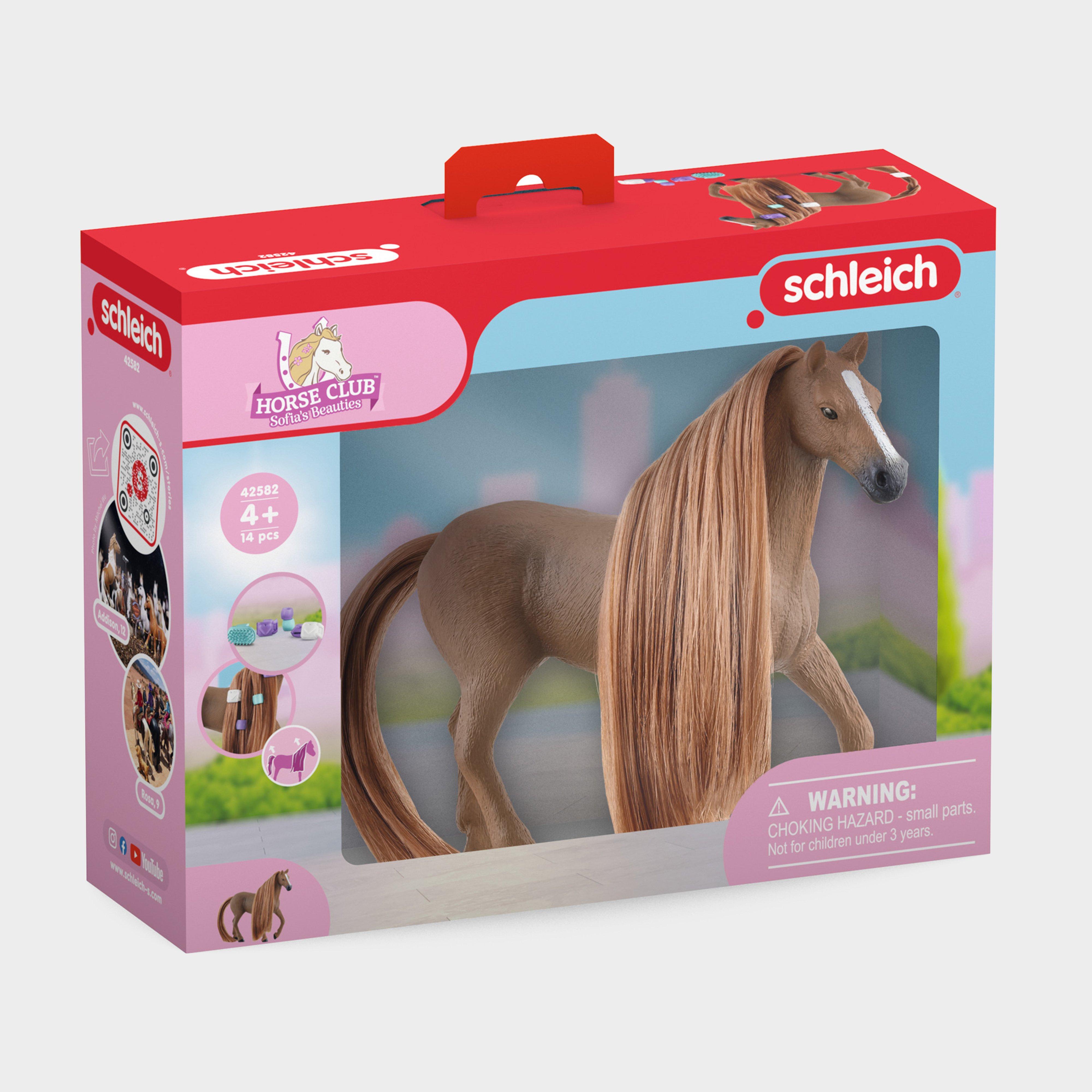 Beauty Horse English Thoroughbred Mare