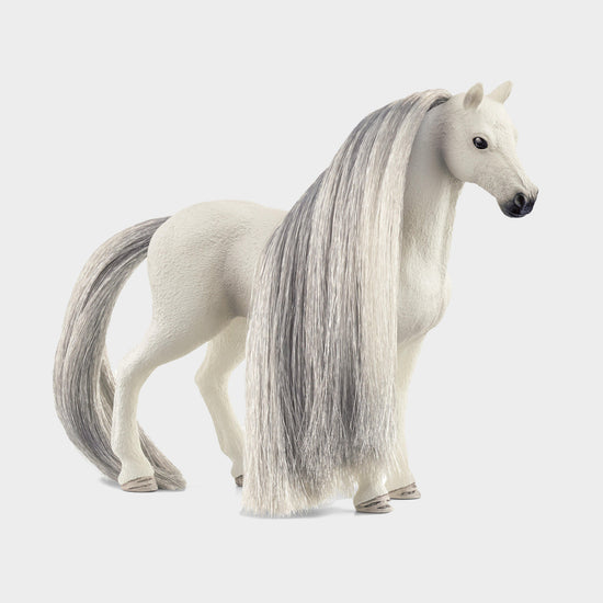 Beauty Horse Quarter Horse Mare