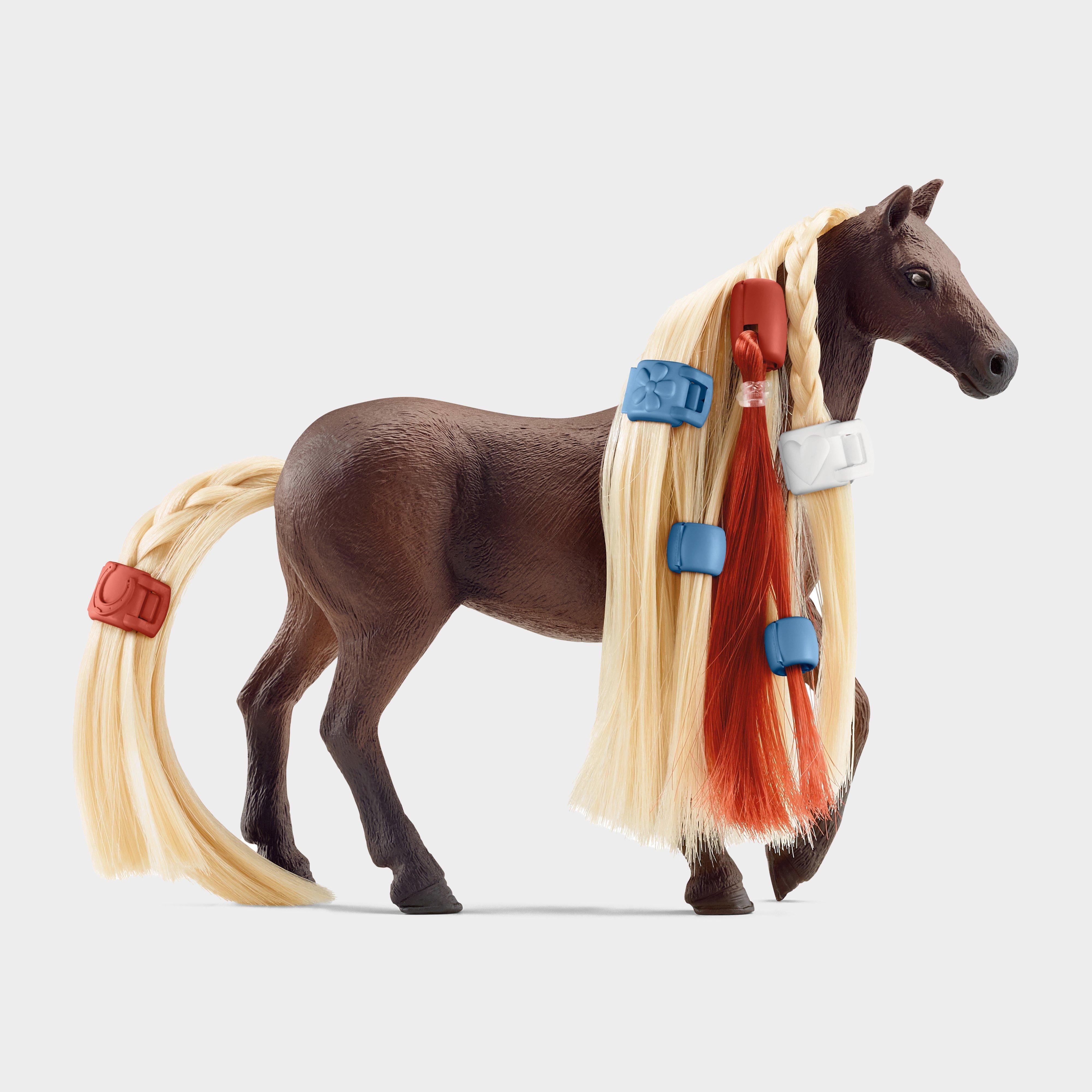 Starter Set Leo & Rocky