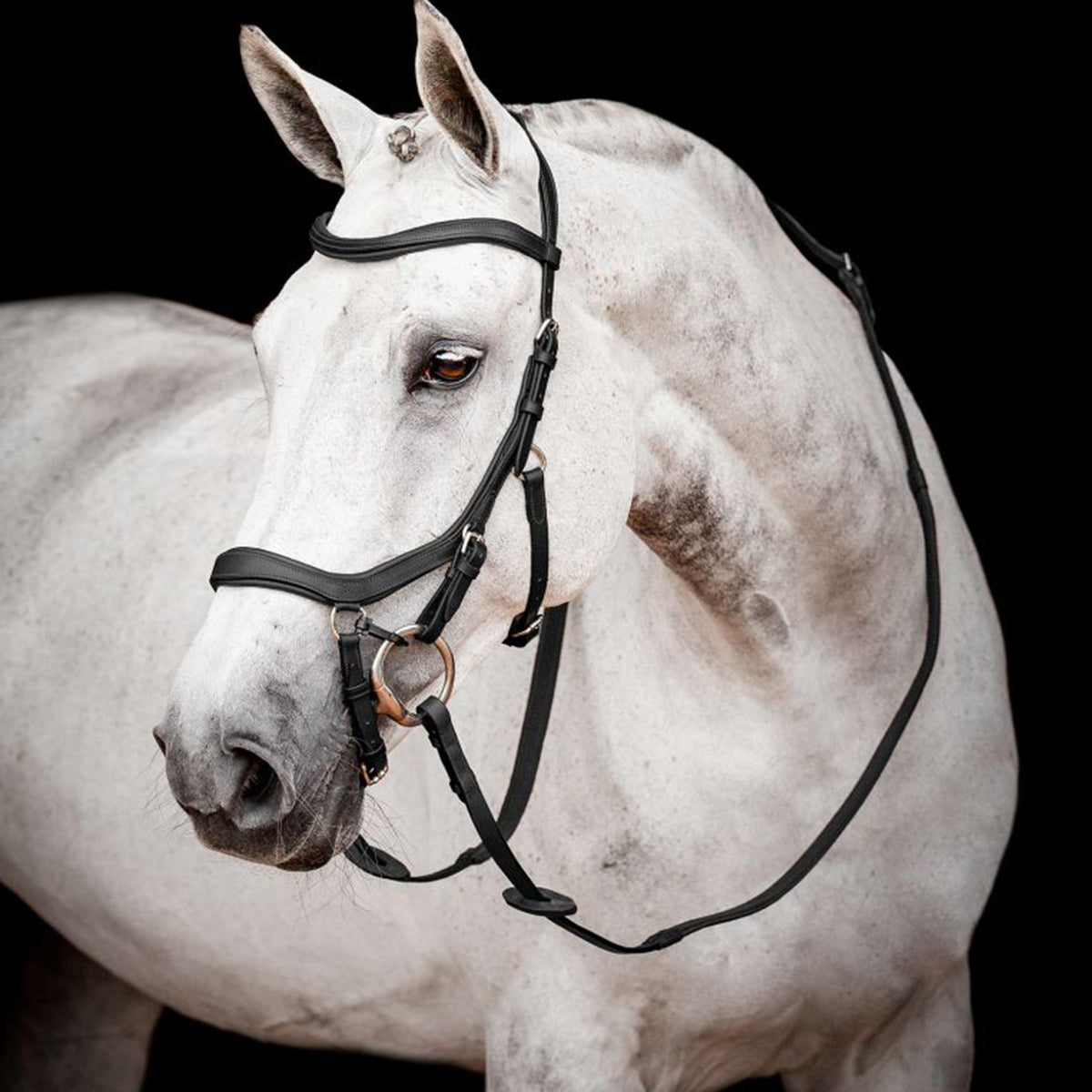 Micklem® 2 Competition Bridle Black