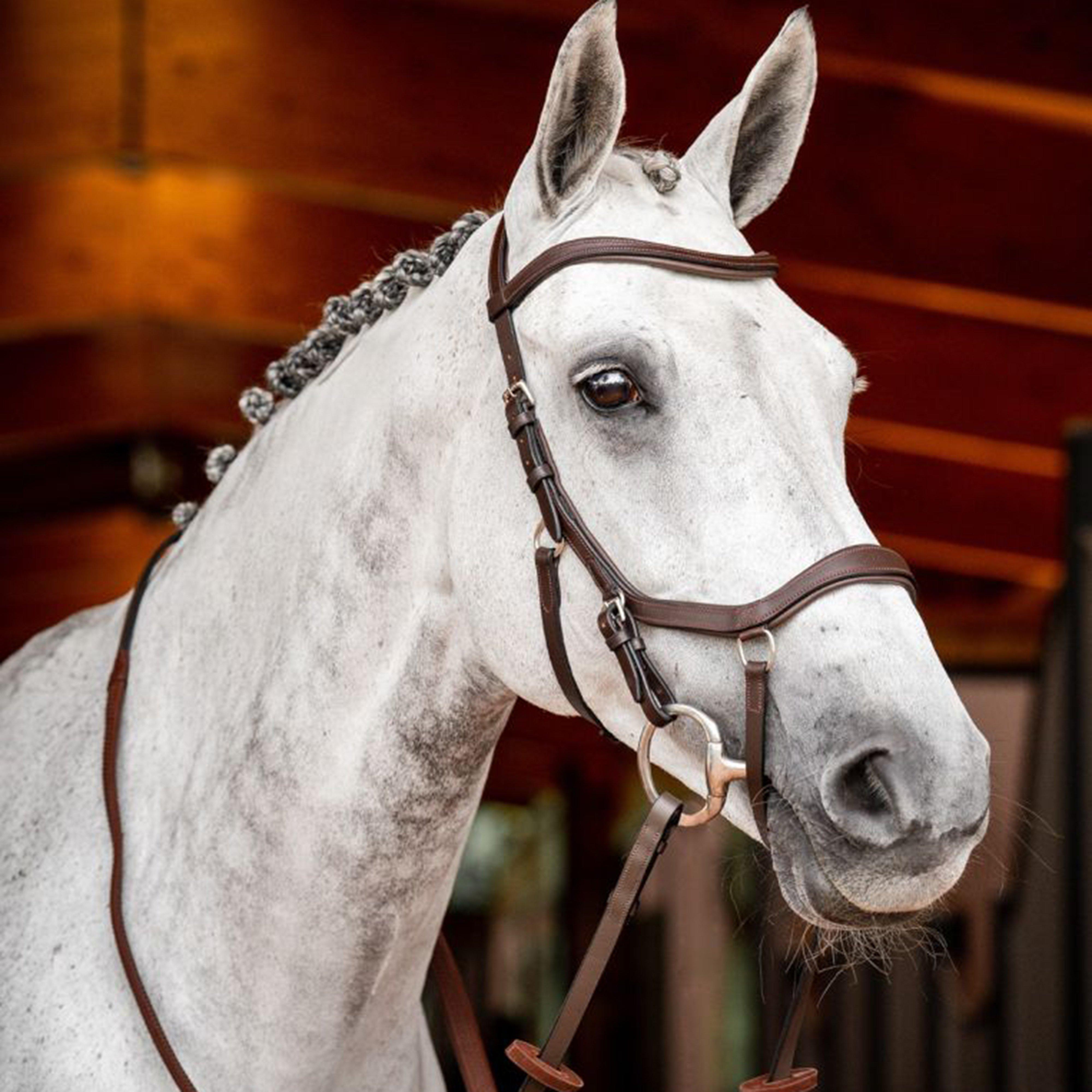 Micklem® 2 Competition Bridle Dark Havana