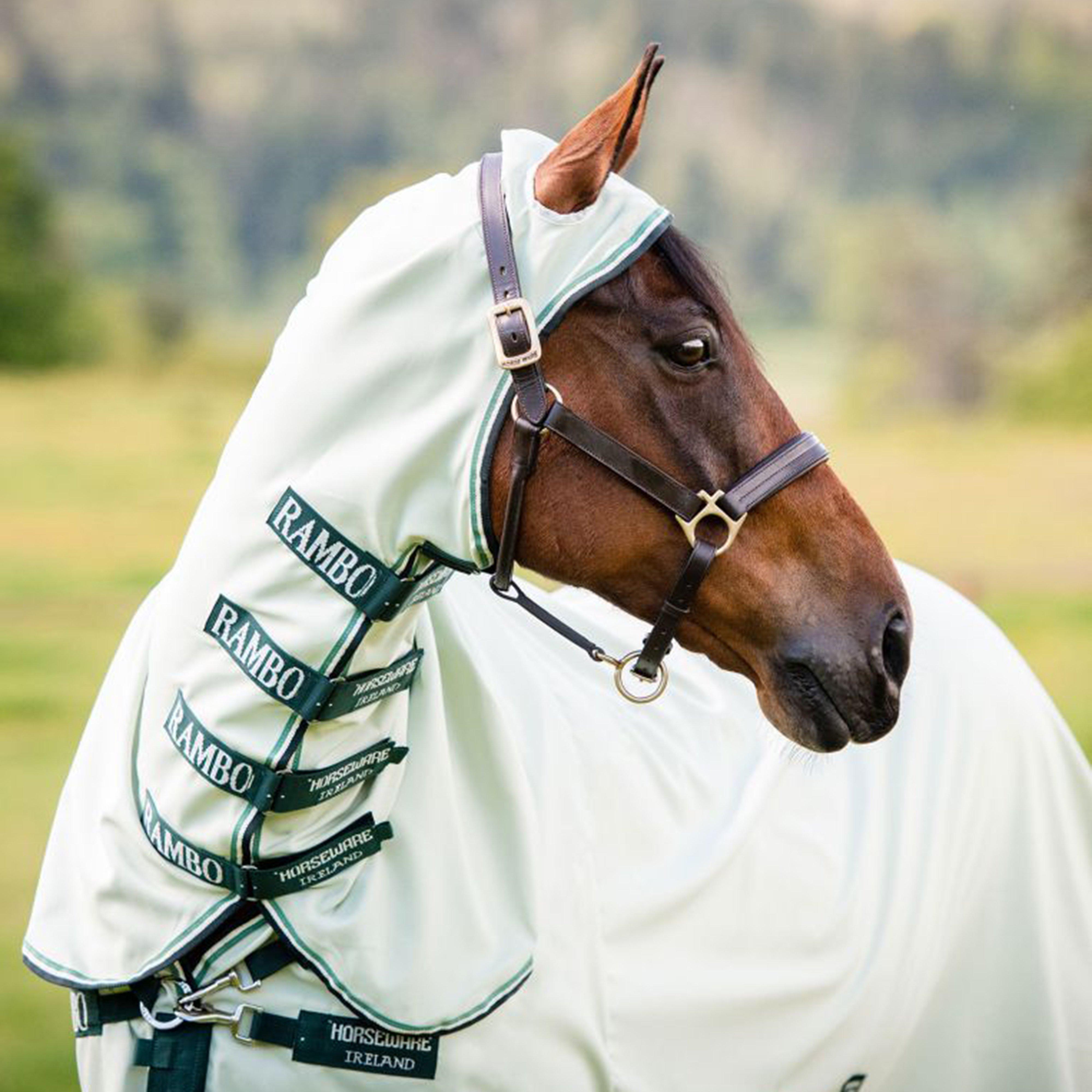 Hoody Rug Green Sage & Beige & Green