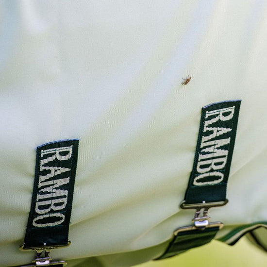 Hoody Rug Green Sage & Beige & Green