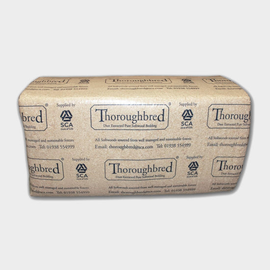 Thoroughbred Shavings 20kg