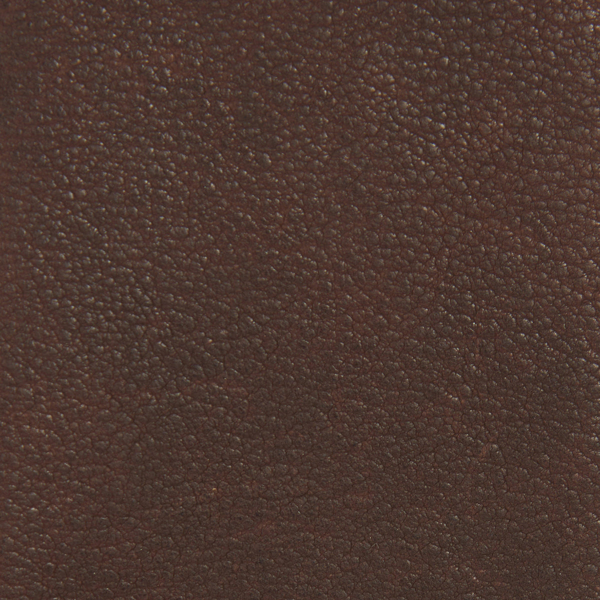 Haydon Wallet & Belt Gift Set Brown