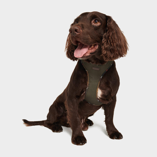 Comfort Dog Harness Olive