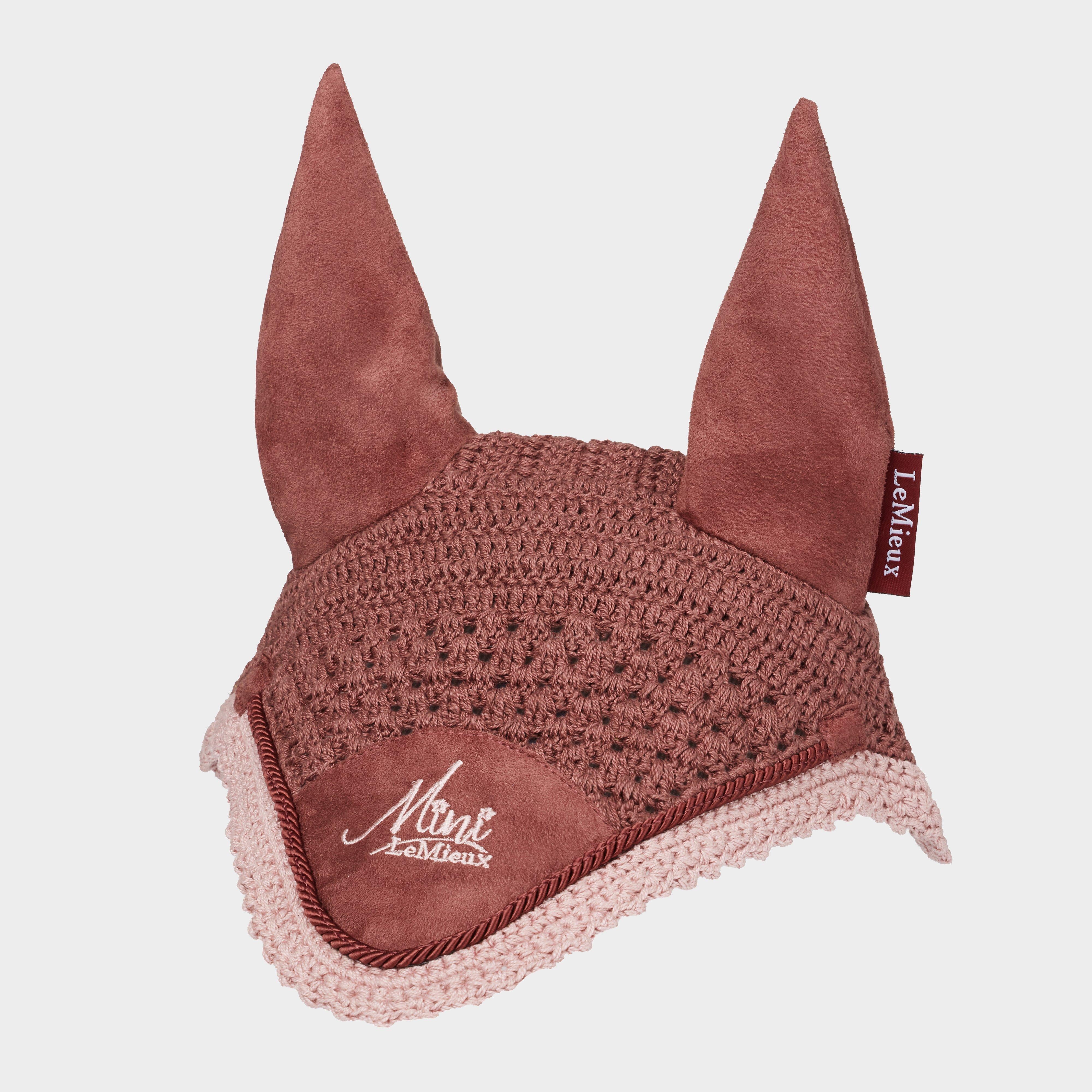 Mini Fly Hood Orchid