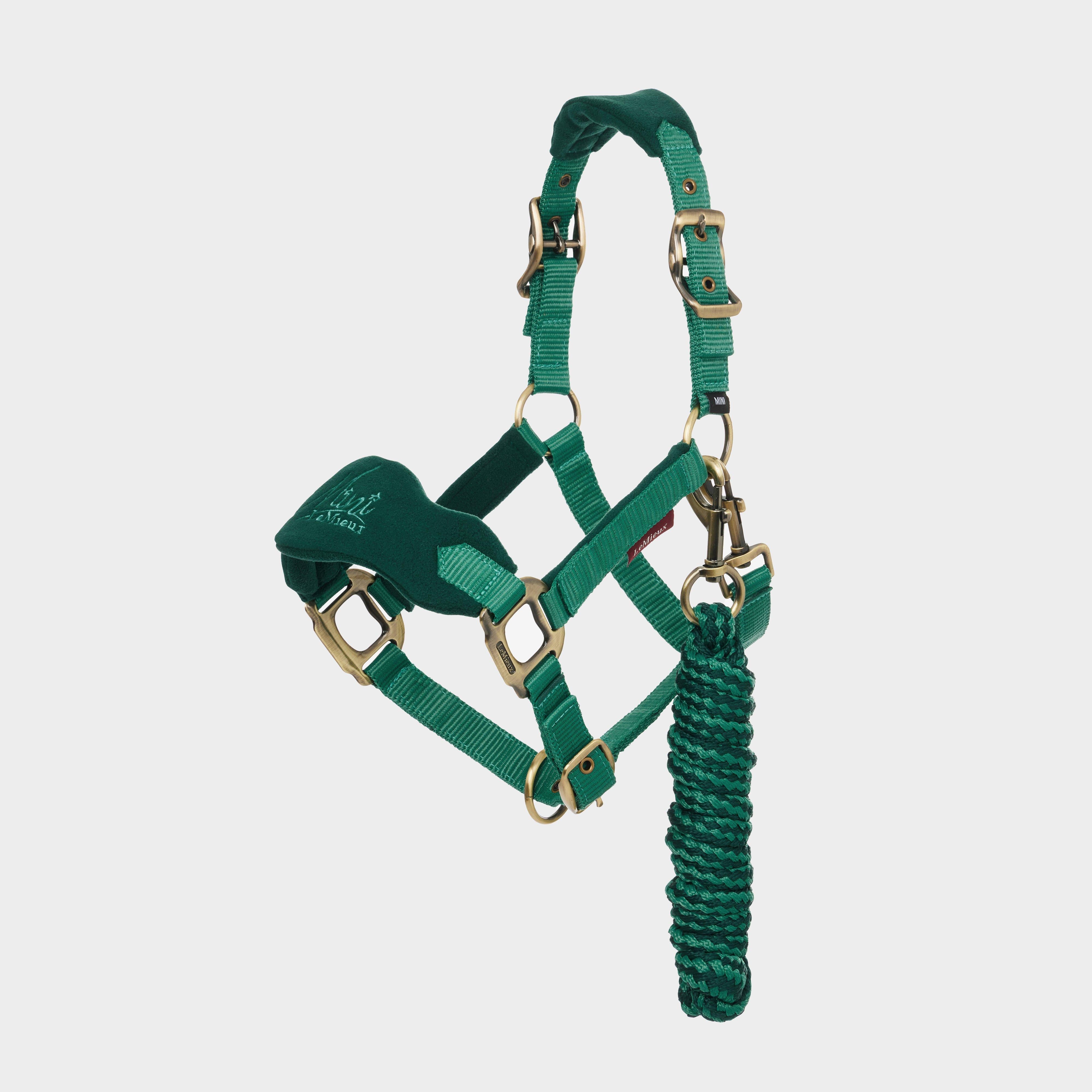 Mini Vogue Headcollar and Leadrope Evergreen