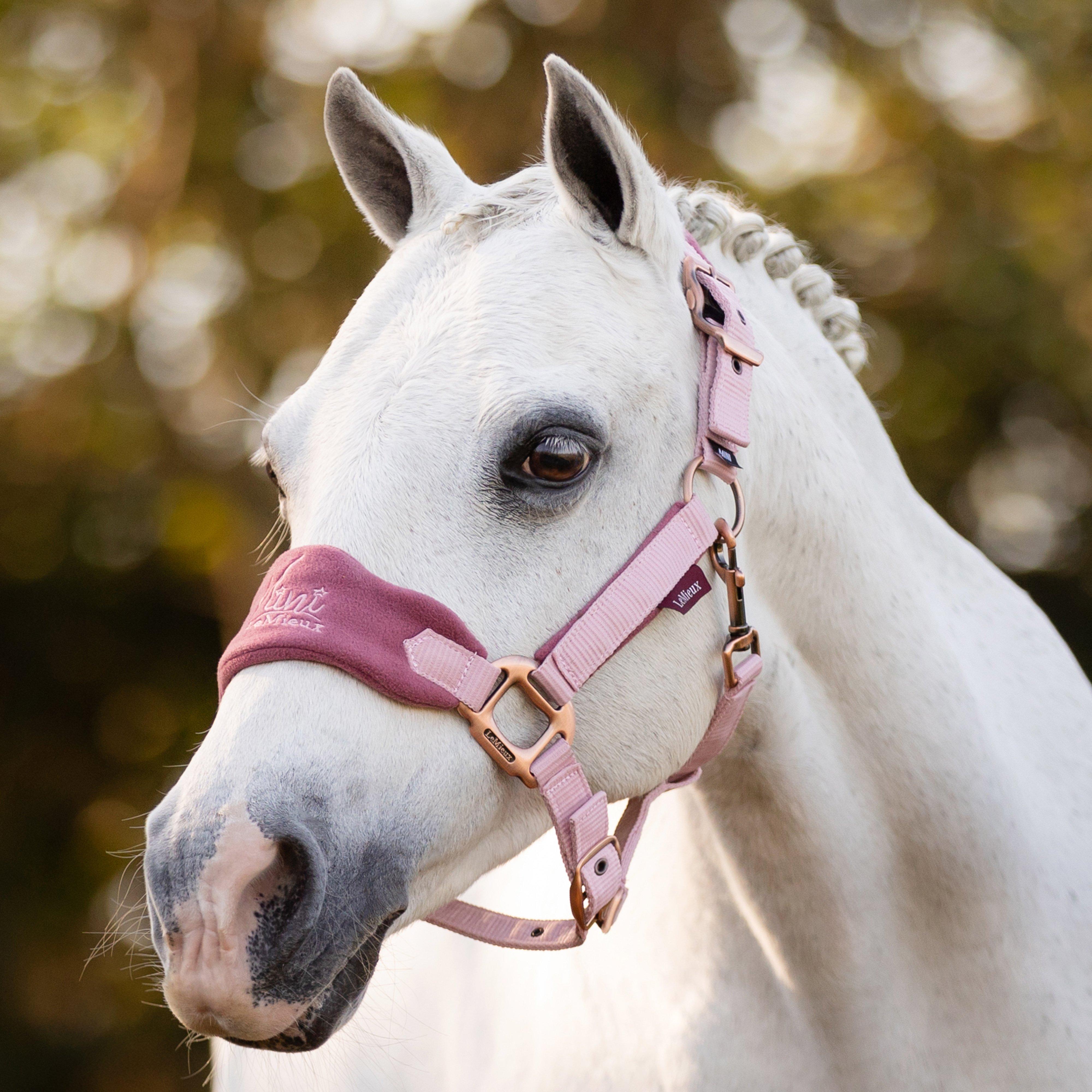 Mini Vogue Headcollar and Leadrope Pink Quartz