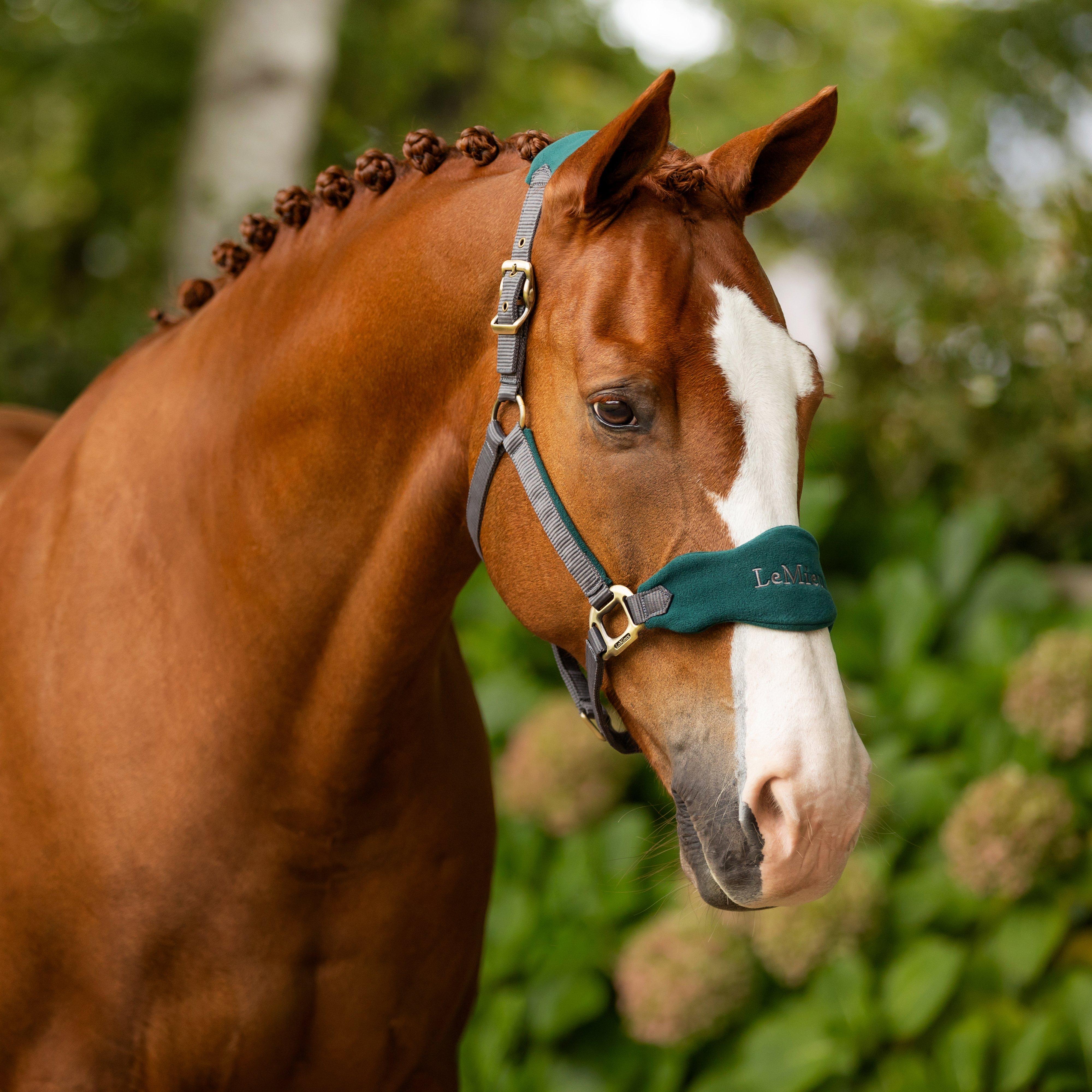 Vogue Headcollar Spruce