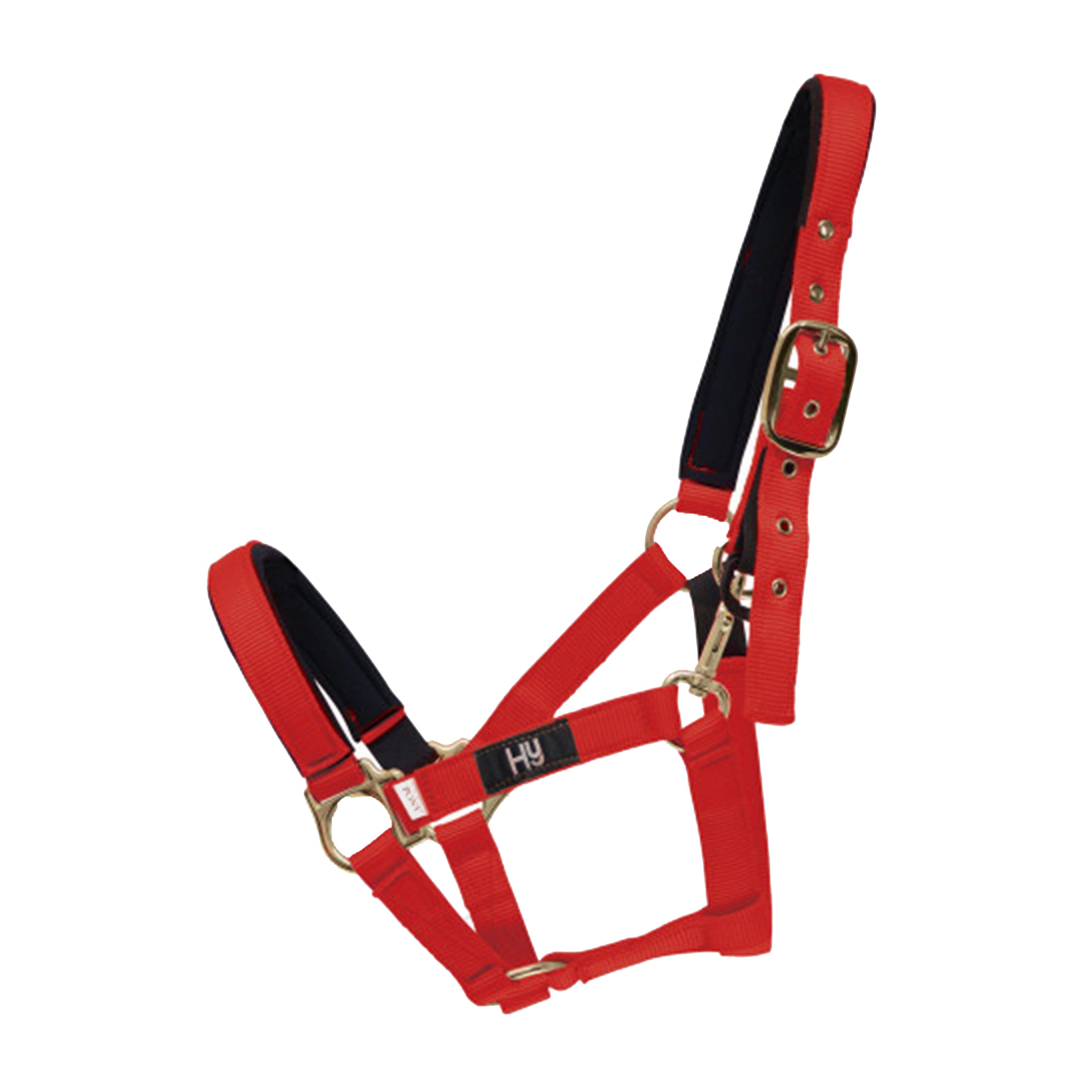 Fieldsafe Headcollar Red