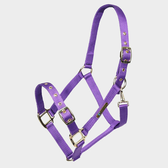 Adjustable Headcollar Purple