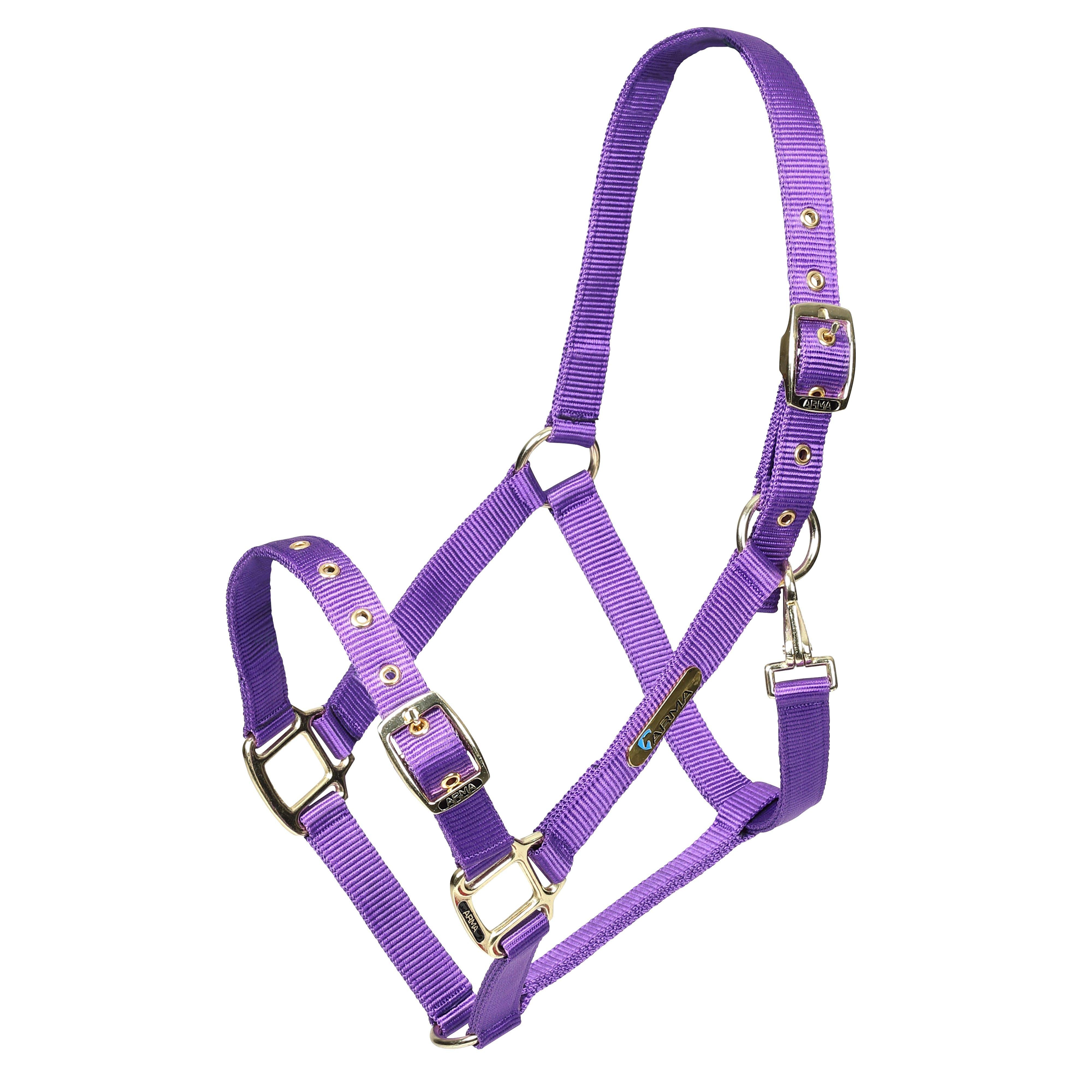 Adjustable Headcollar Purple