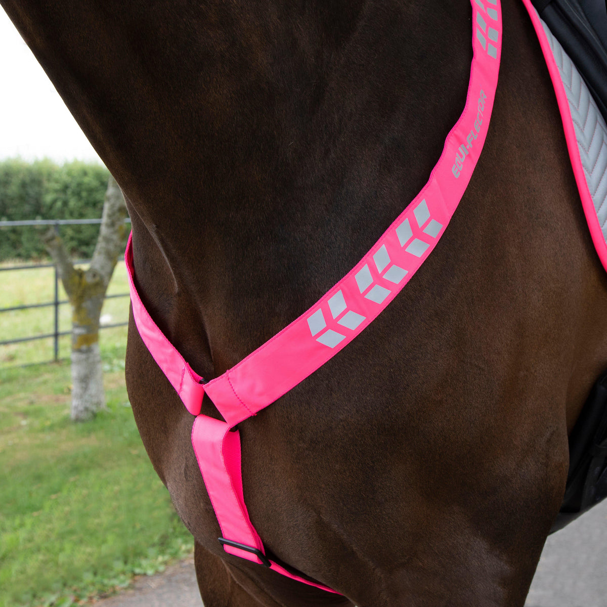Breastplate Pink