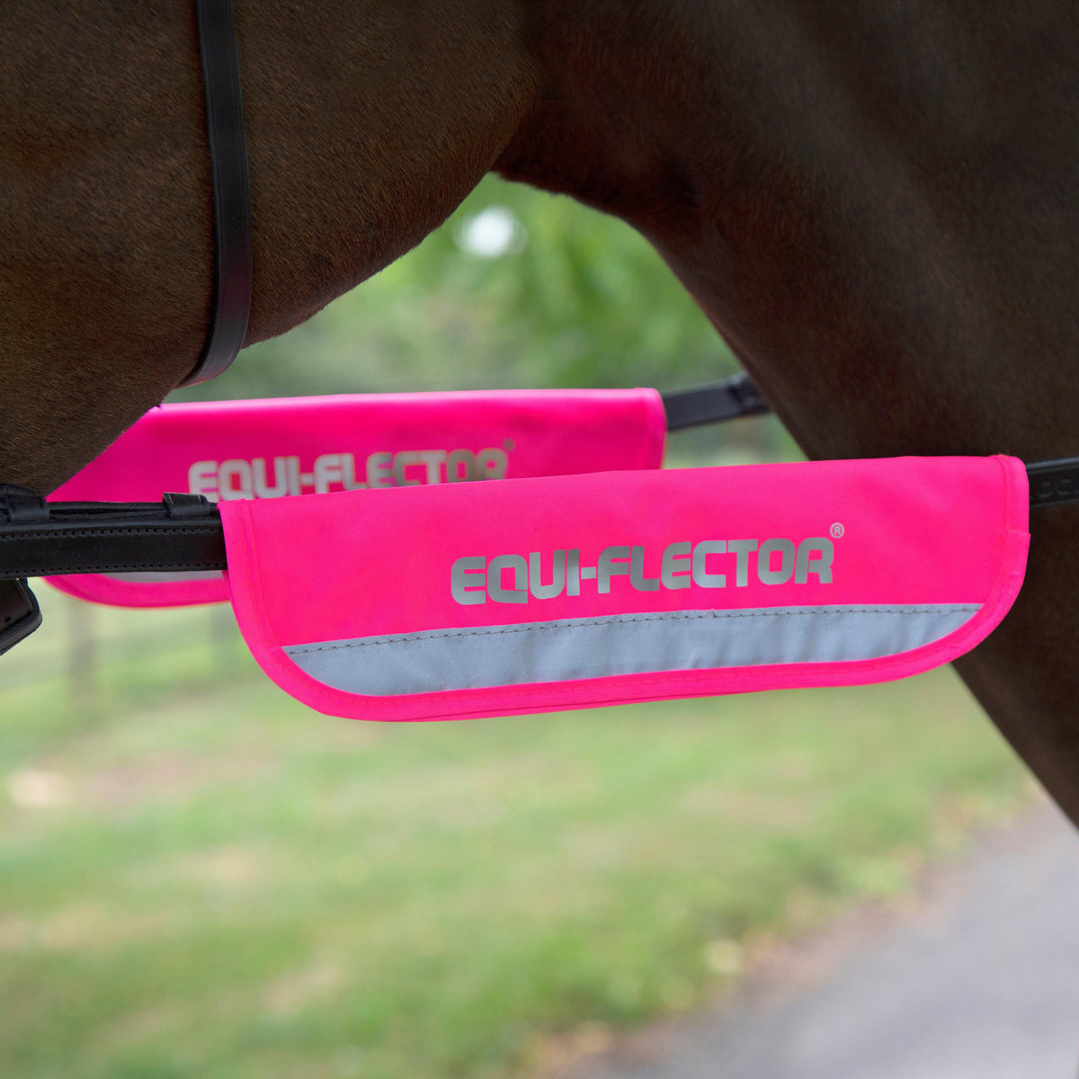 Bridle Bands Pink