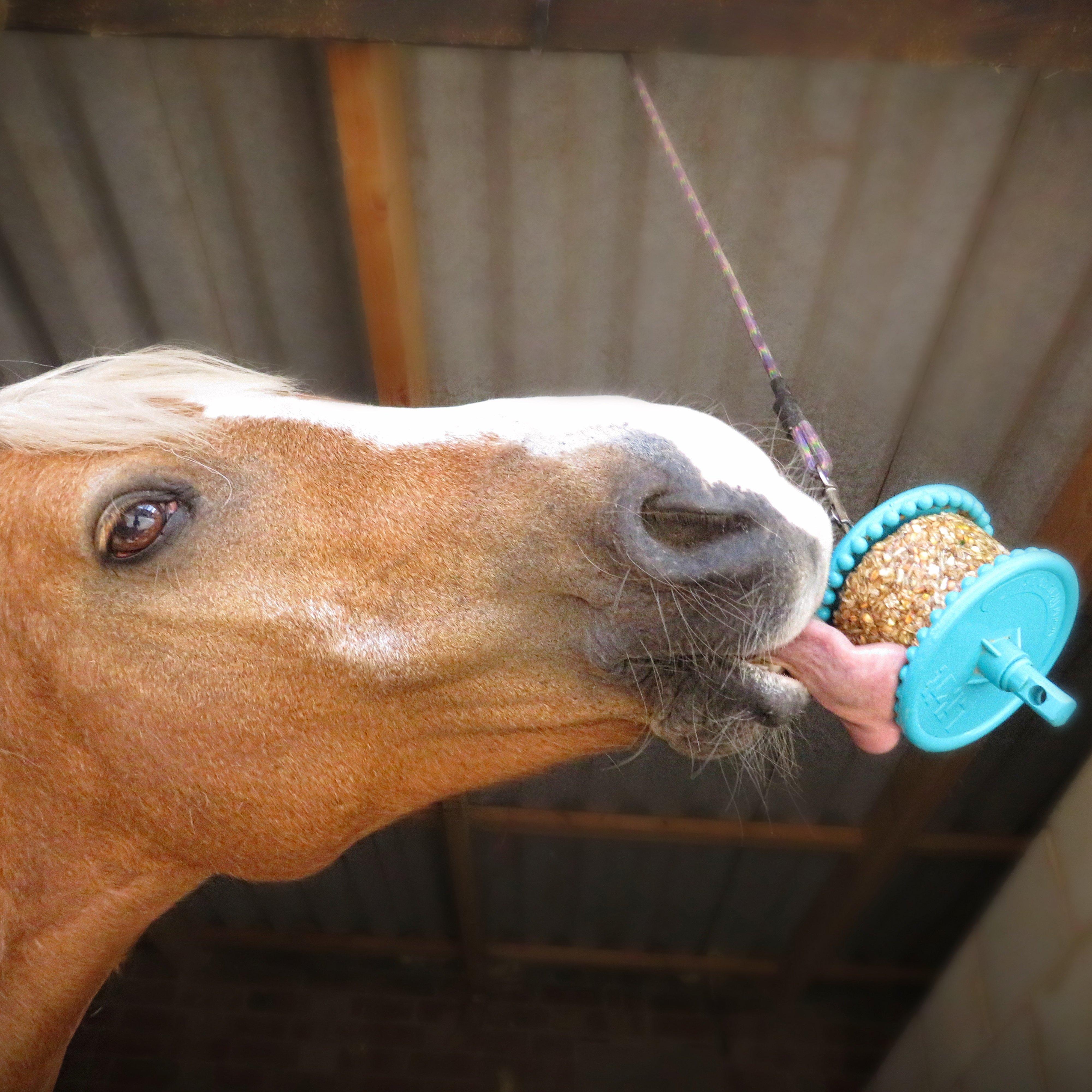 Granola Multigrain 550g