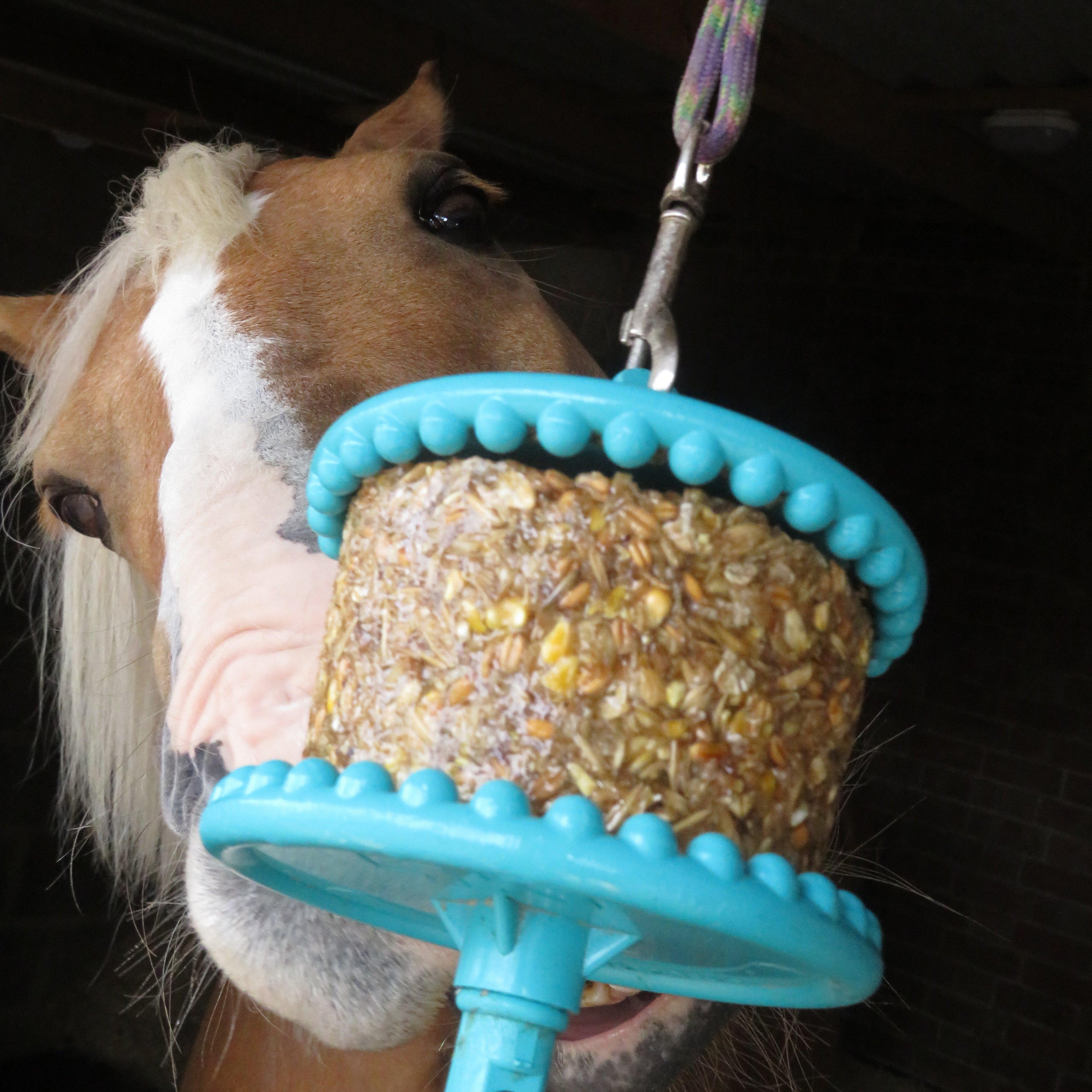 Granola Multigrain 550g