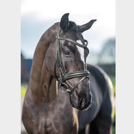Arika Dressage Bridle Black/Silver
