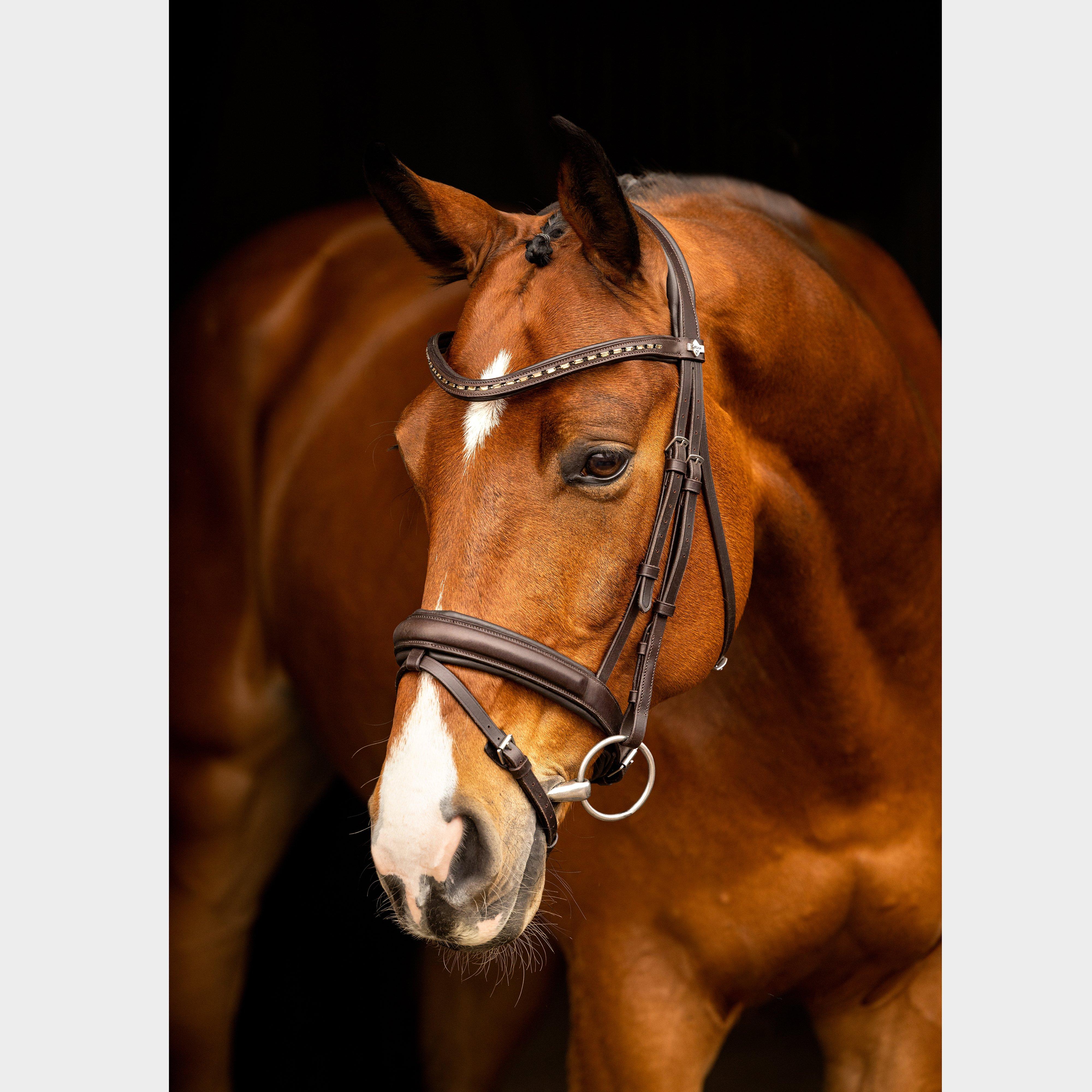 Arika Dressage Bridle Brown/Silver