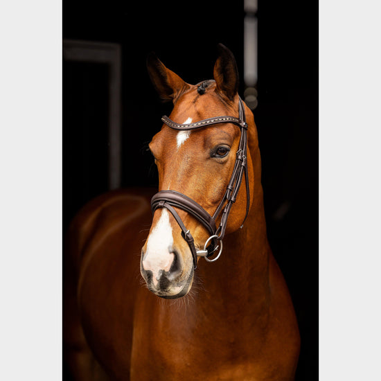 Arika Dressage Bridle Brown/Silver