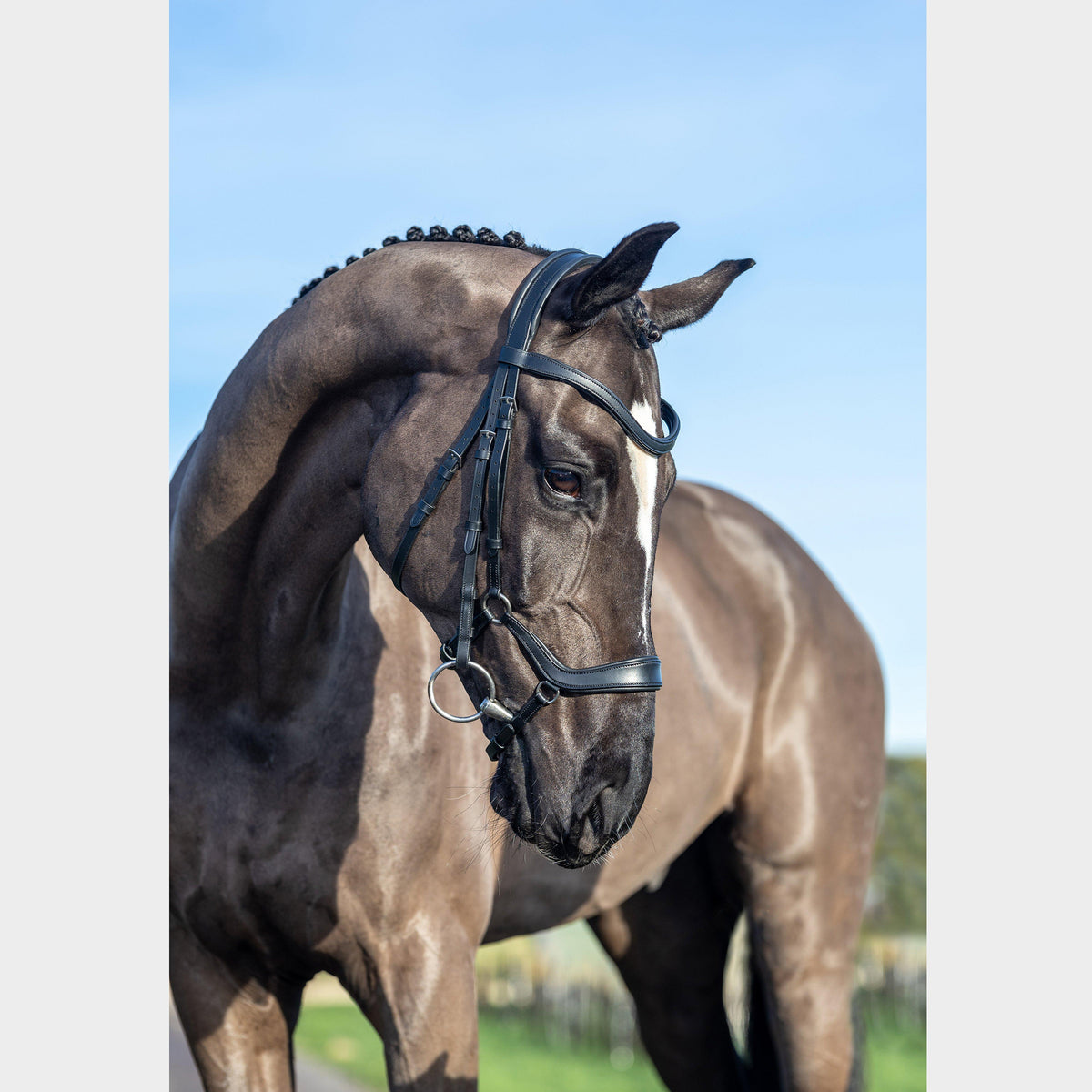 Arika Drop Bridle Black/Silver