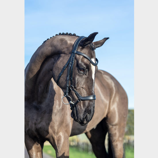 Arika Drop Bridle Black/Silver
