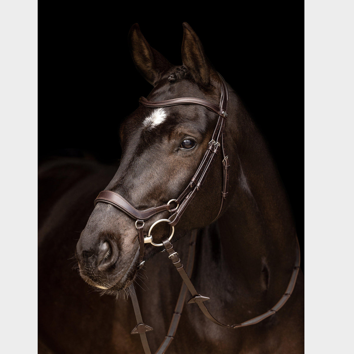 Arika Drop Bridle Brown/Silver