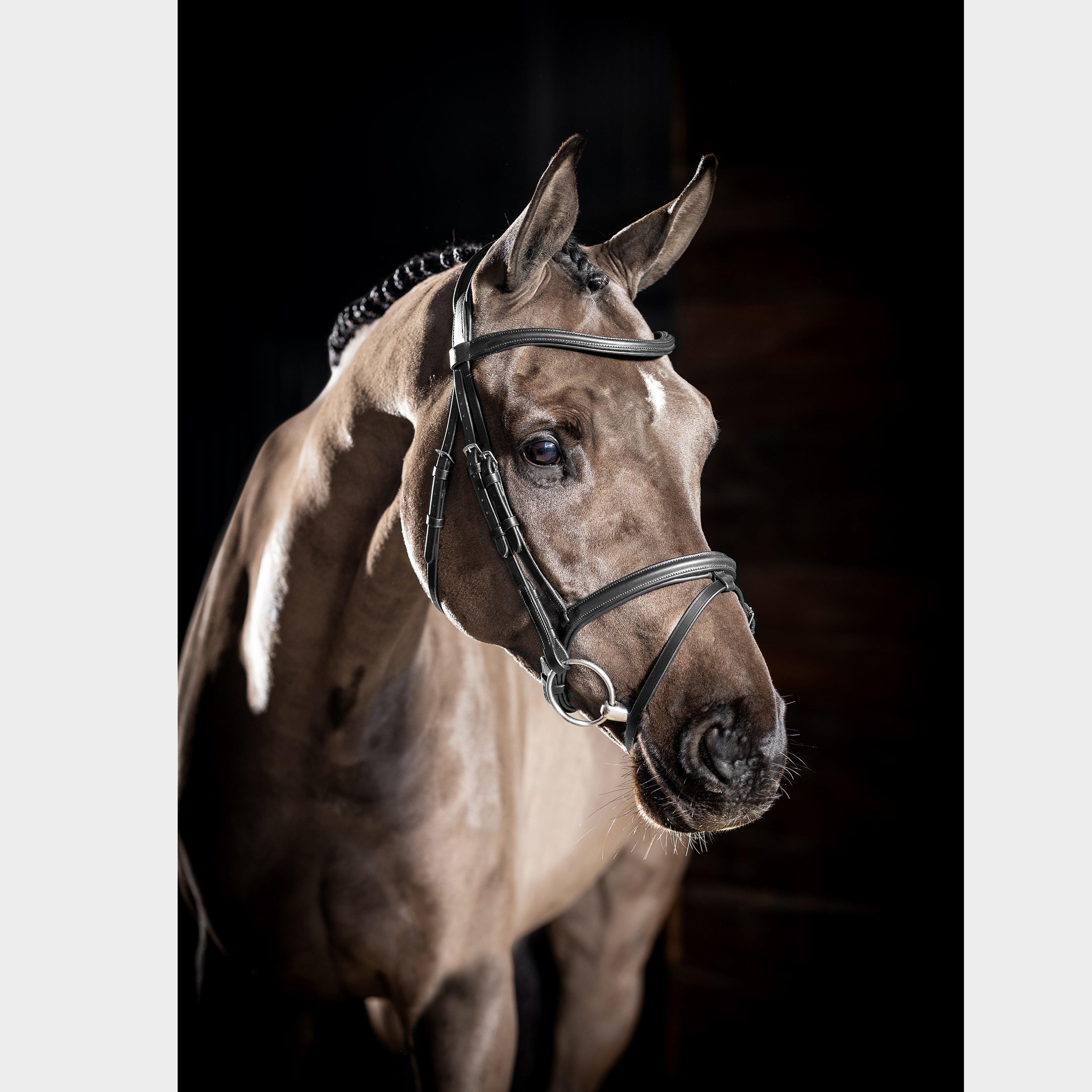 Arika Flash Bridle Black/Silver