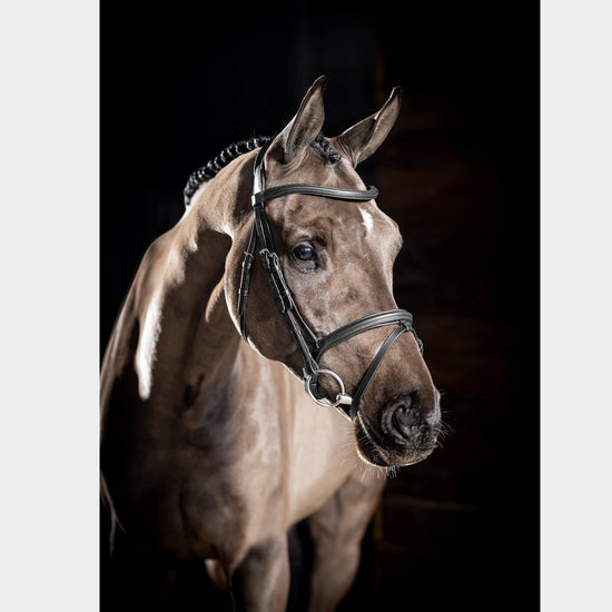 Arika Flash Bridle Black/Silver