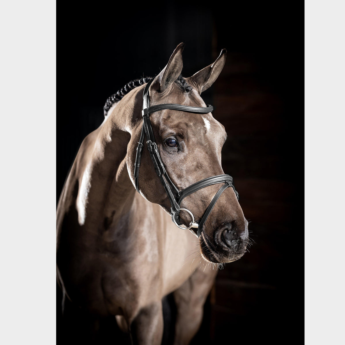 Arika Flash Bridle Black/Silver
