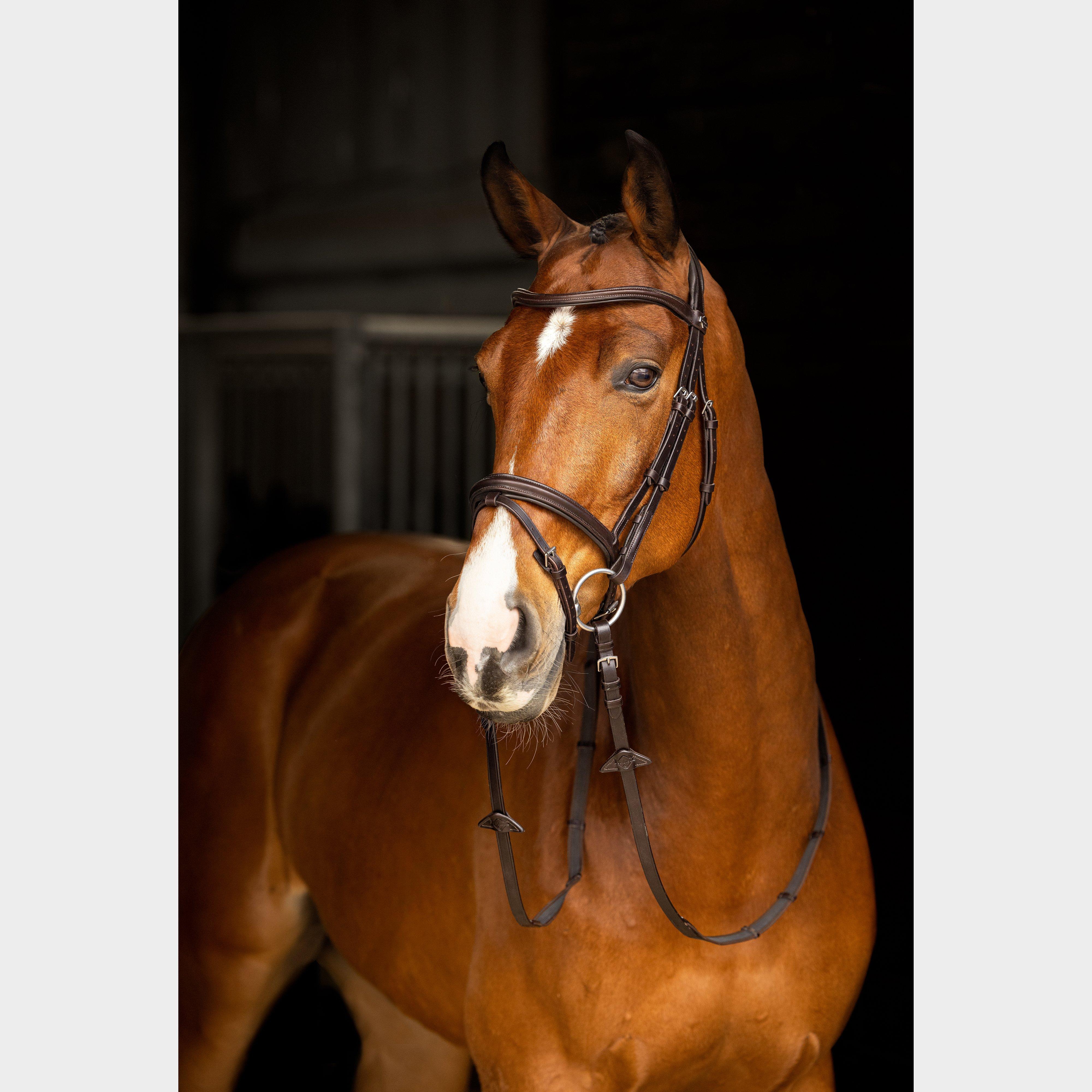 Arika Flash Bridle Brown/Silver