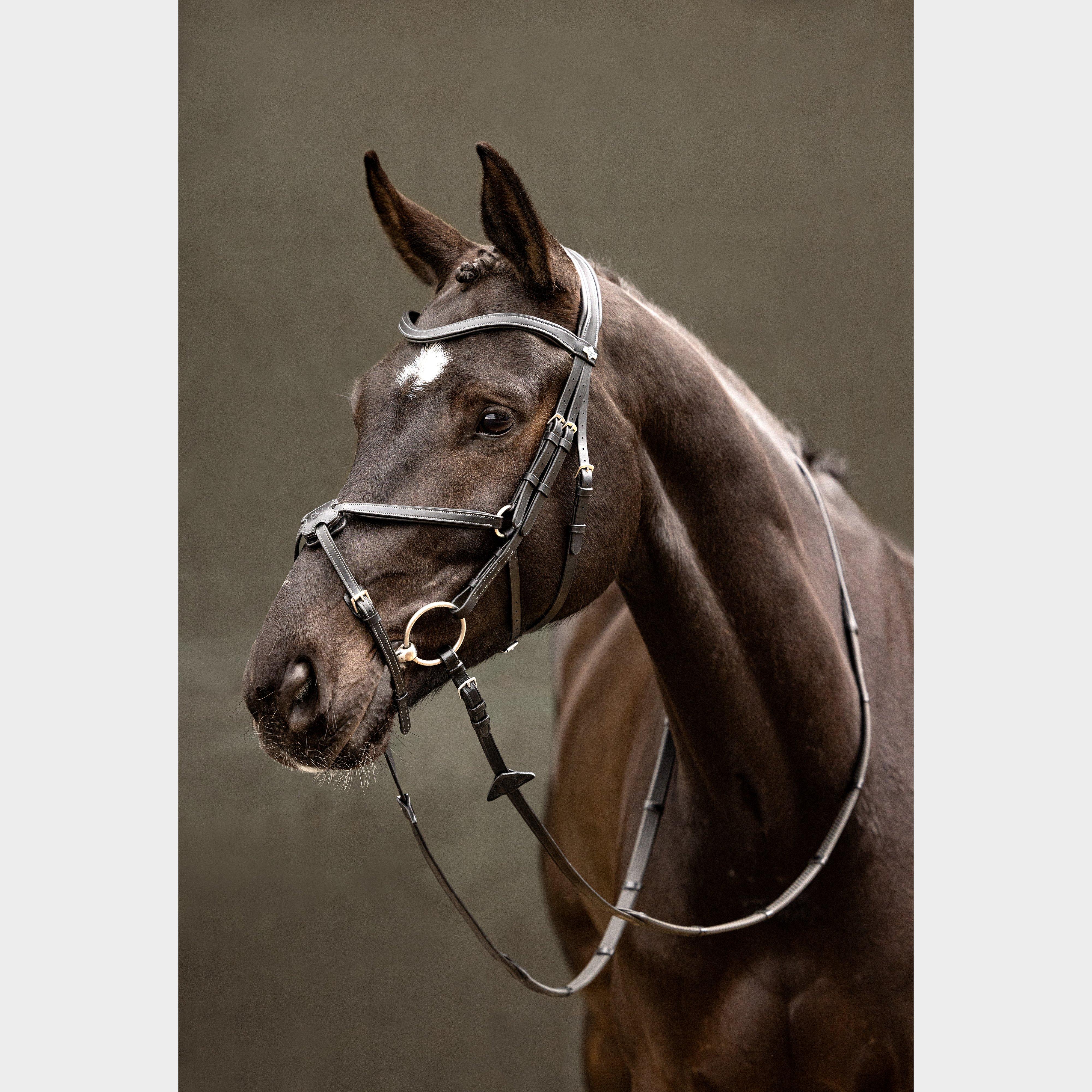 Arika Grackle Bridle Black/Silver