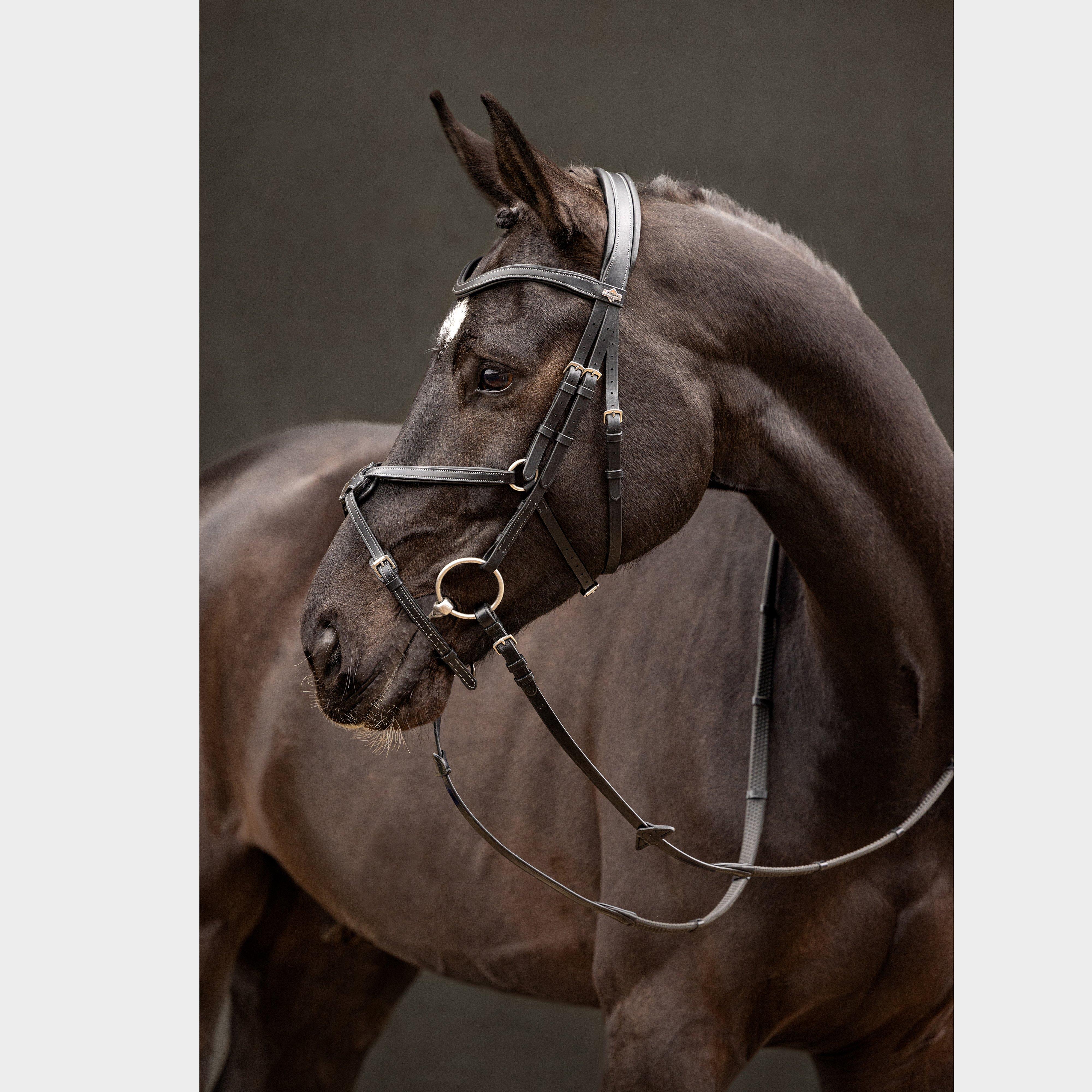 Arika Grackle Bridle Black/Silver