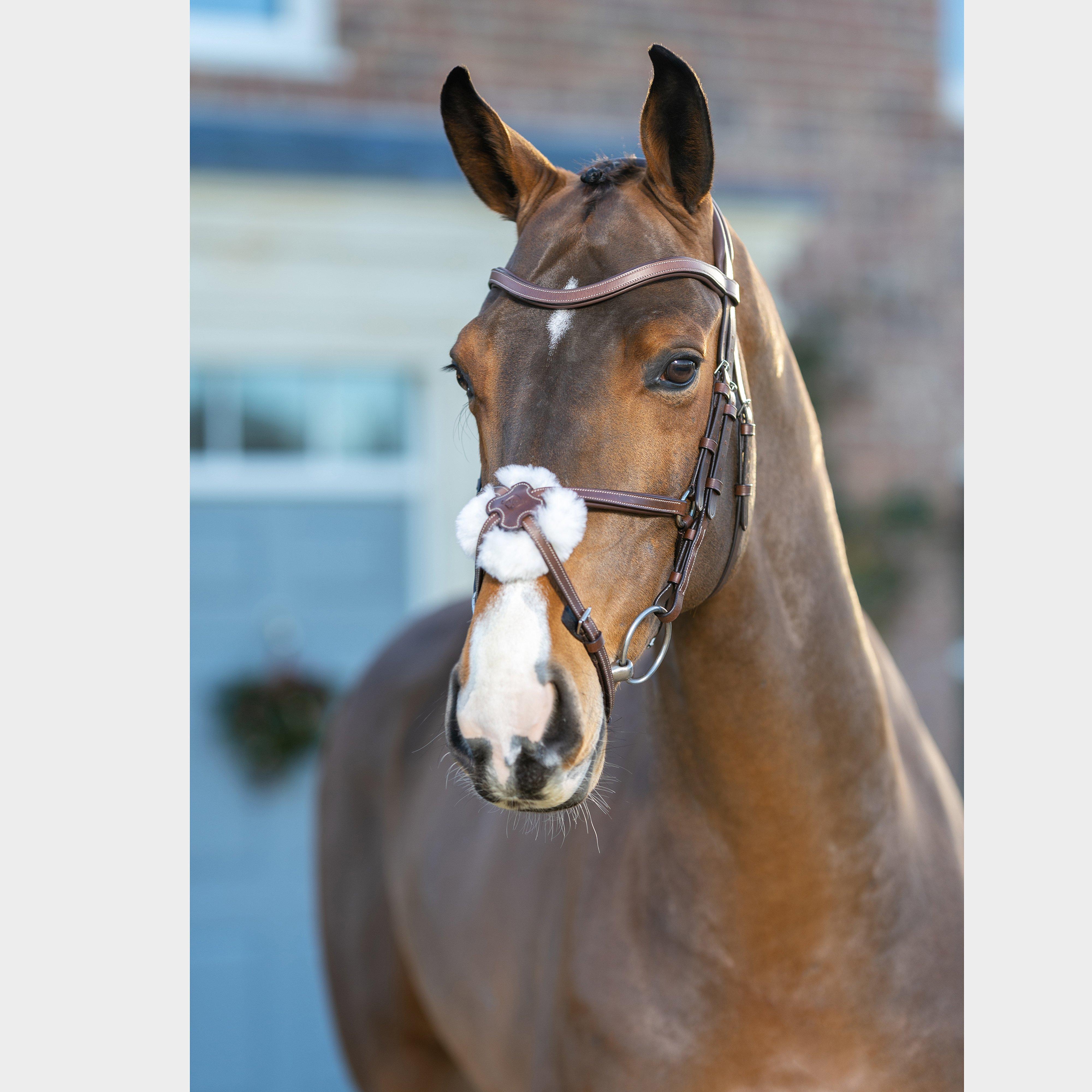 Arika Grackle Bridle Brown/Silver