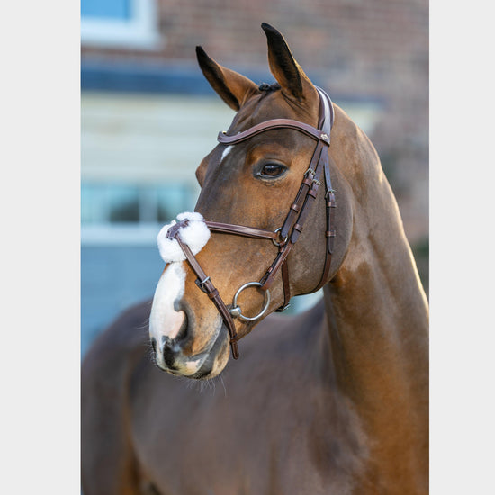 Arika Grackle Bridle Brown/Silver