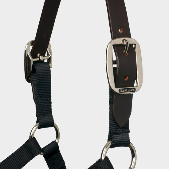 Break Away Headcollar Black