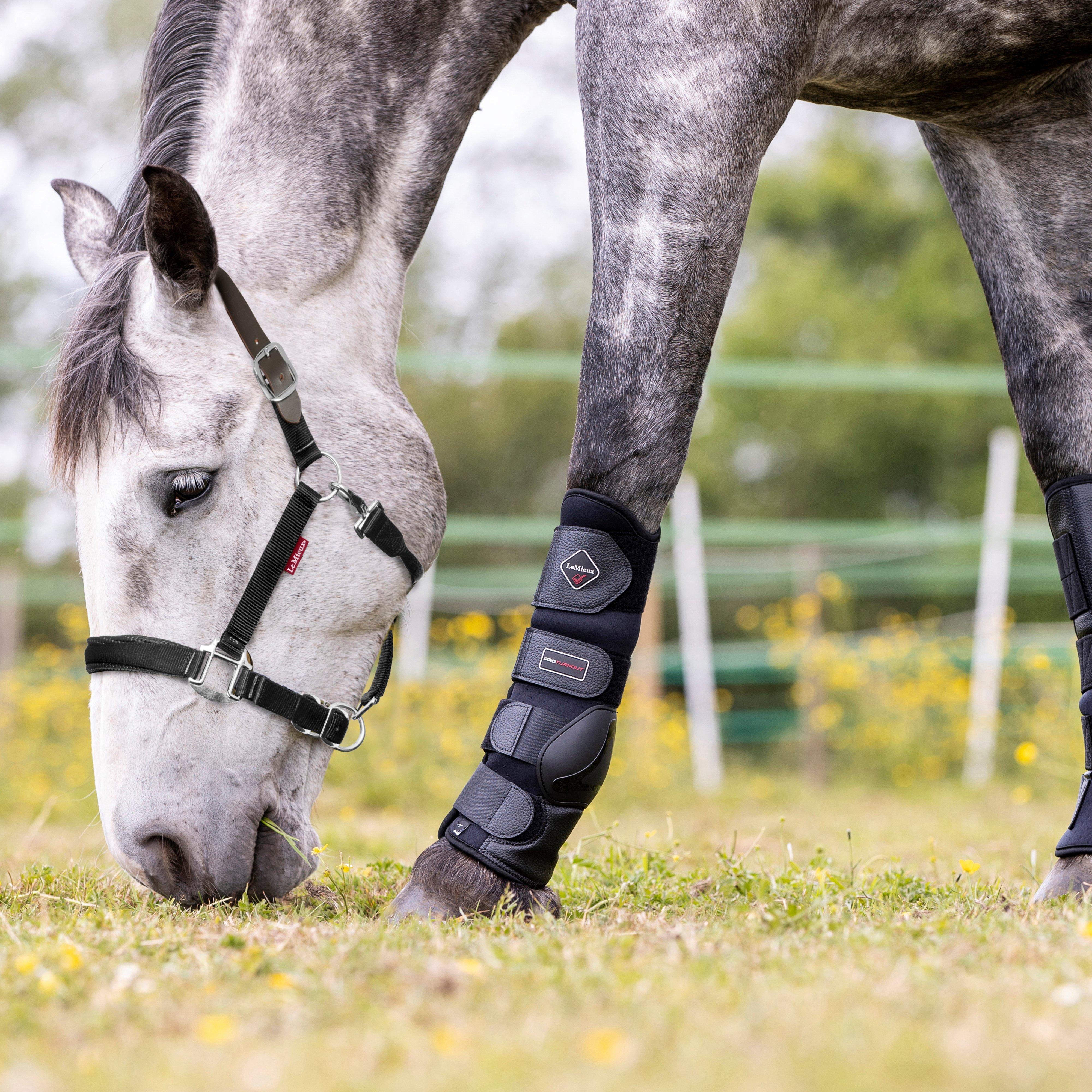 Break Away Headcollar Black
