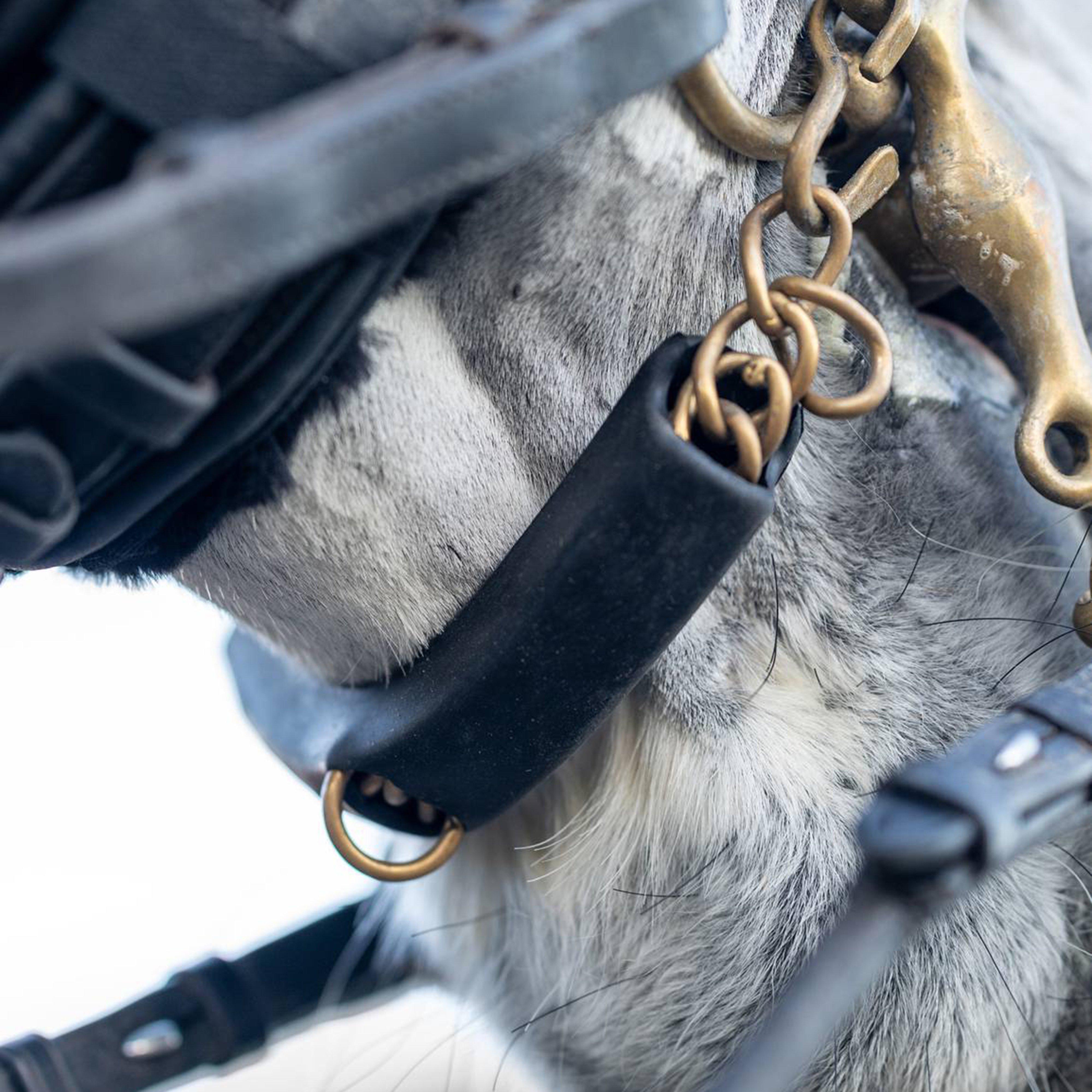 Acavallo Curb Chain Guard Black