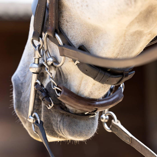 Acavallo Curb Chain Guard Brown