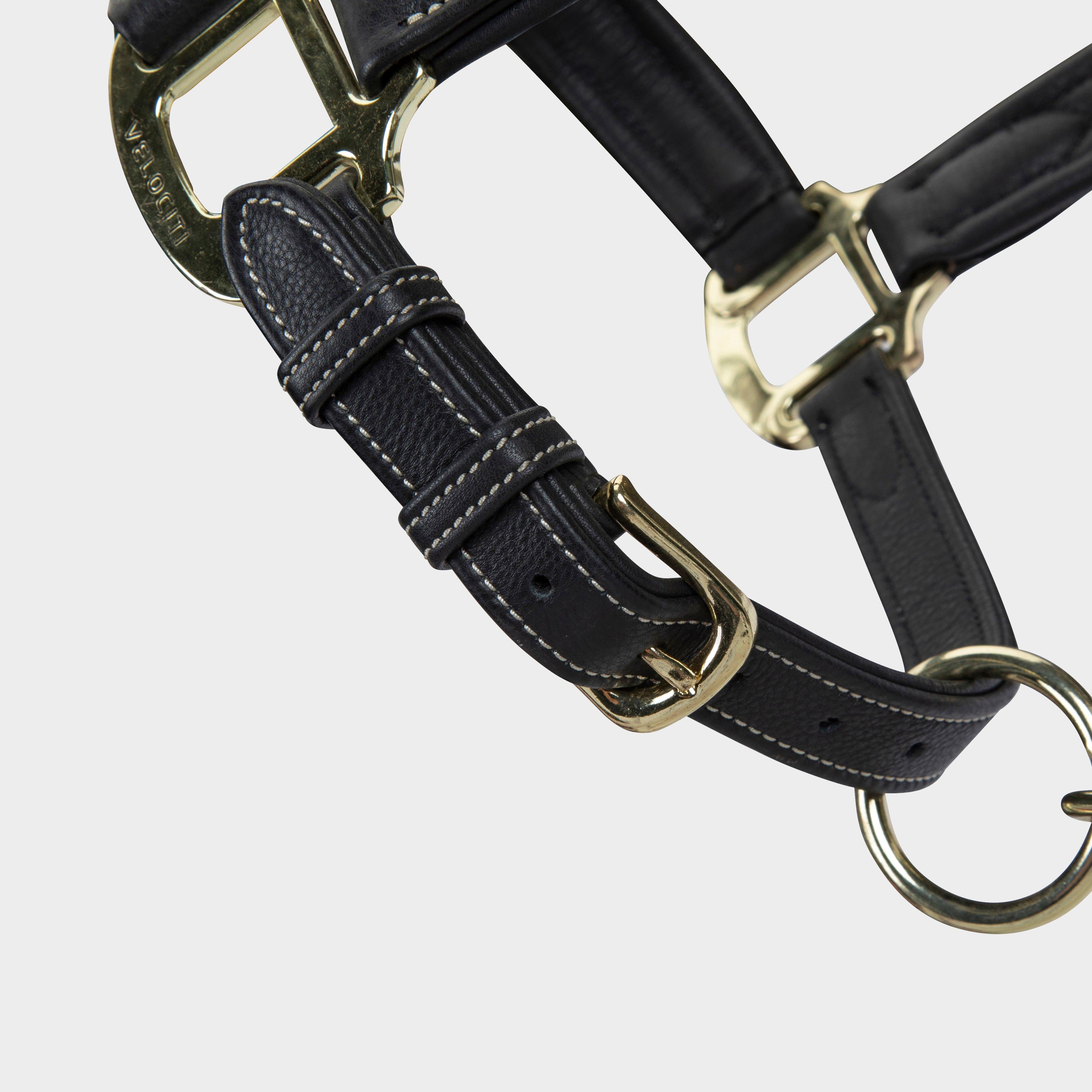 RAPIDA Comfort Leather Headcollar Black