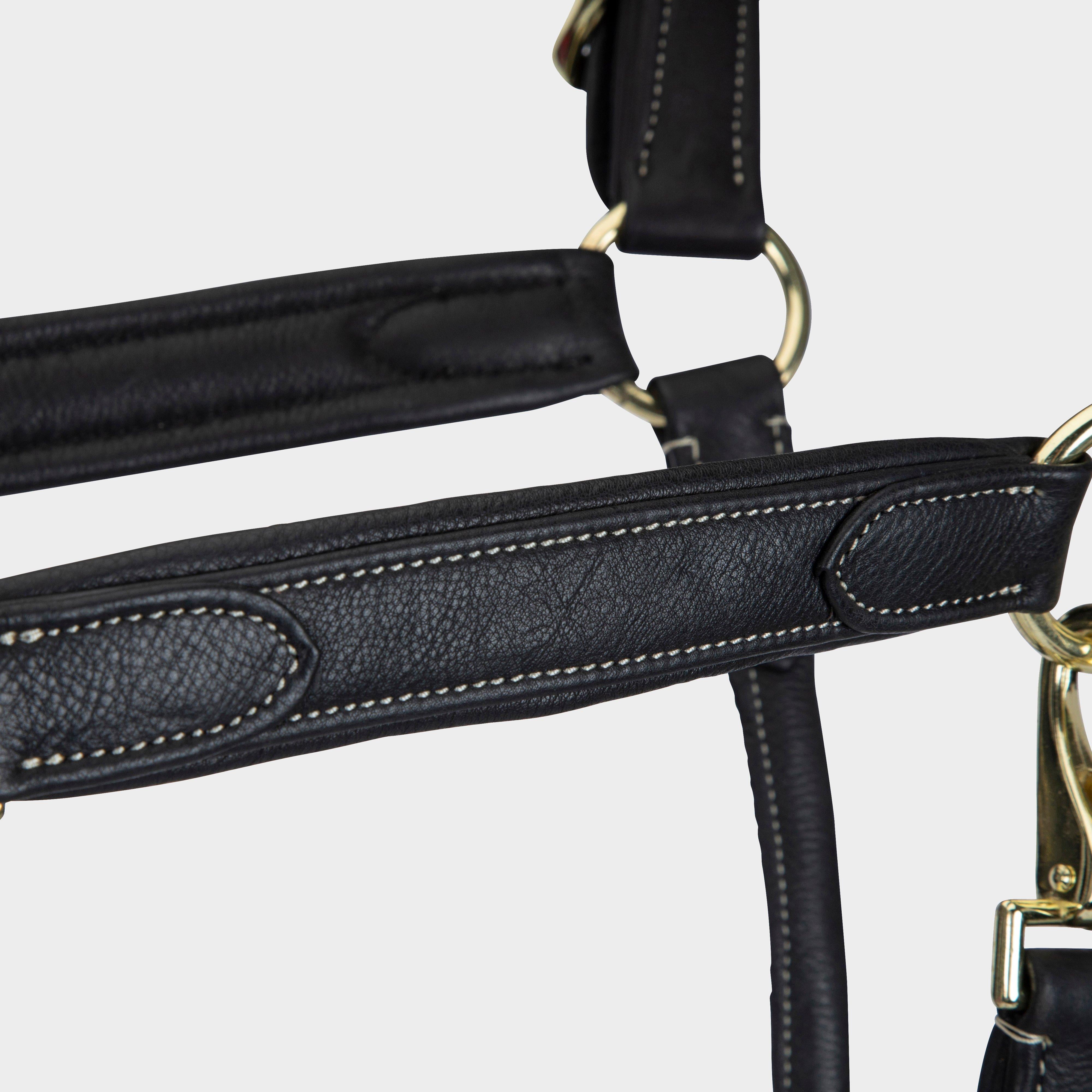RAPIDA Comfort Leather Headcollar Black