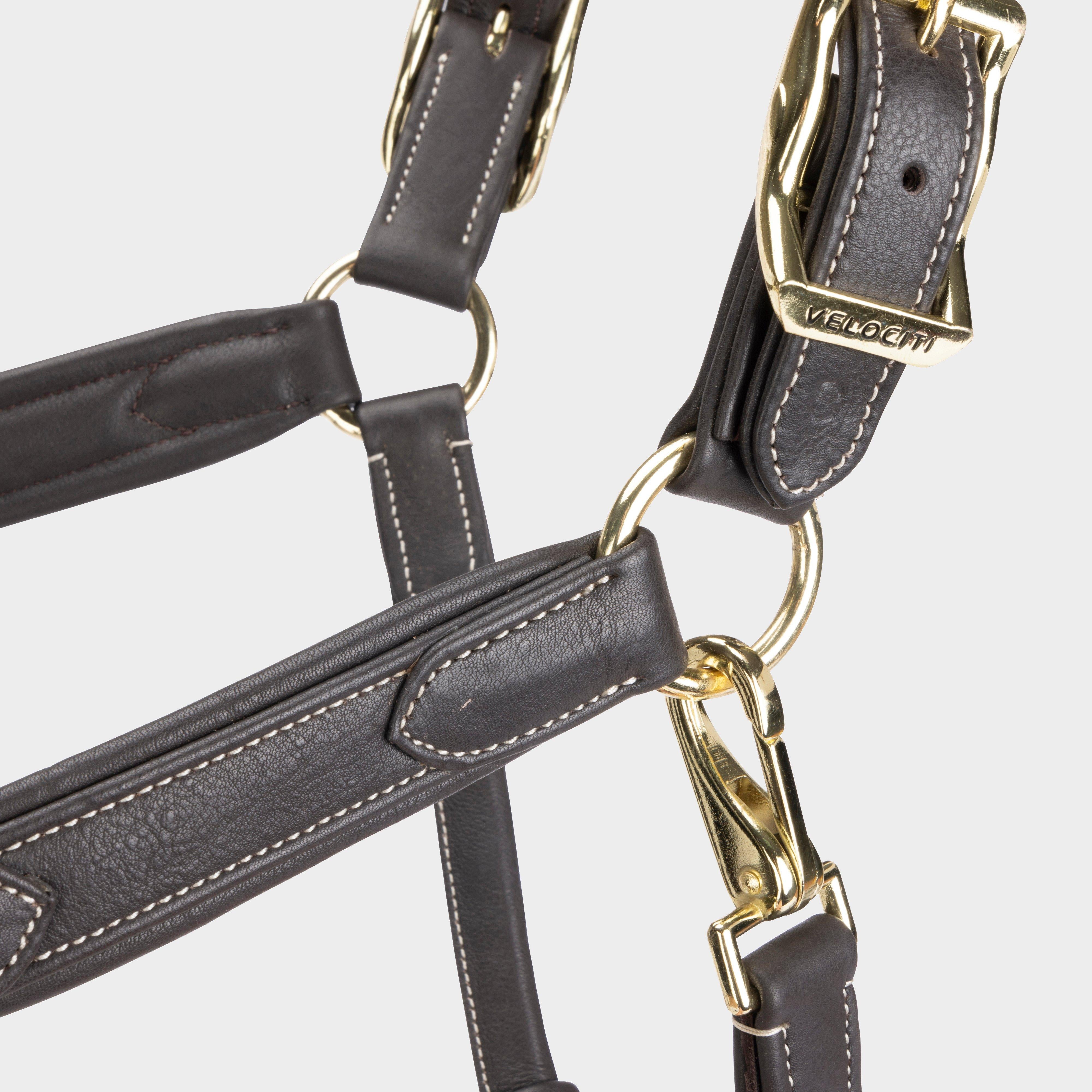 RAPIDA Comfort Leather Headcollar Havana