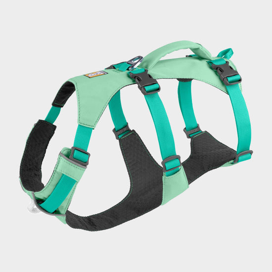 Flagline™ Dog Harness with Handle Sage Green