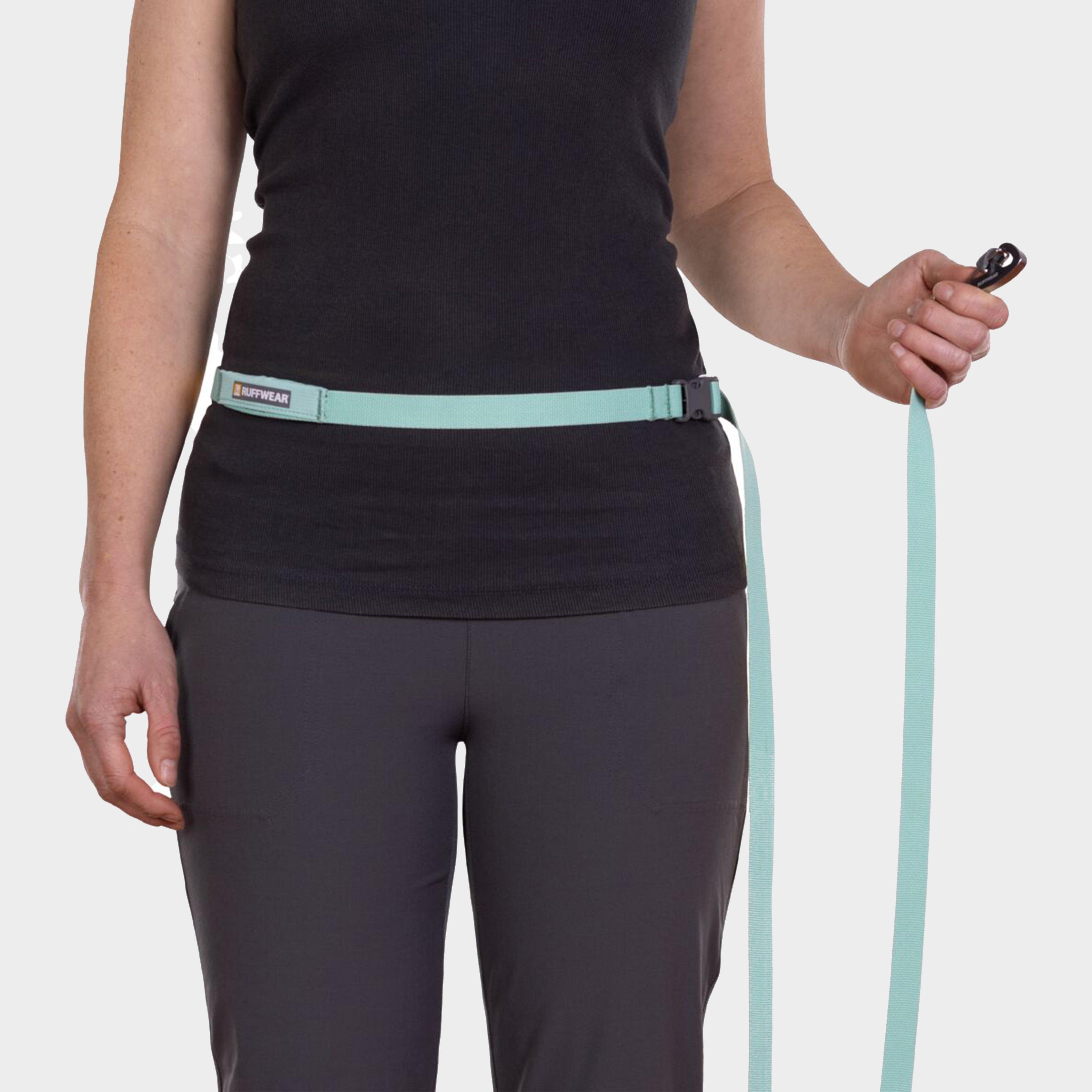 Flagline™ Dog Lead Sage Green